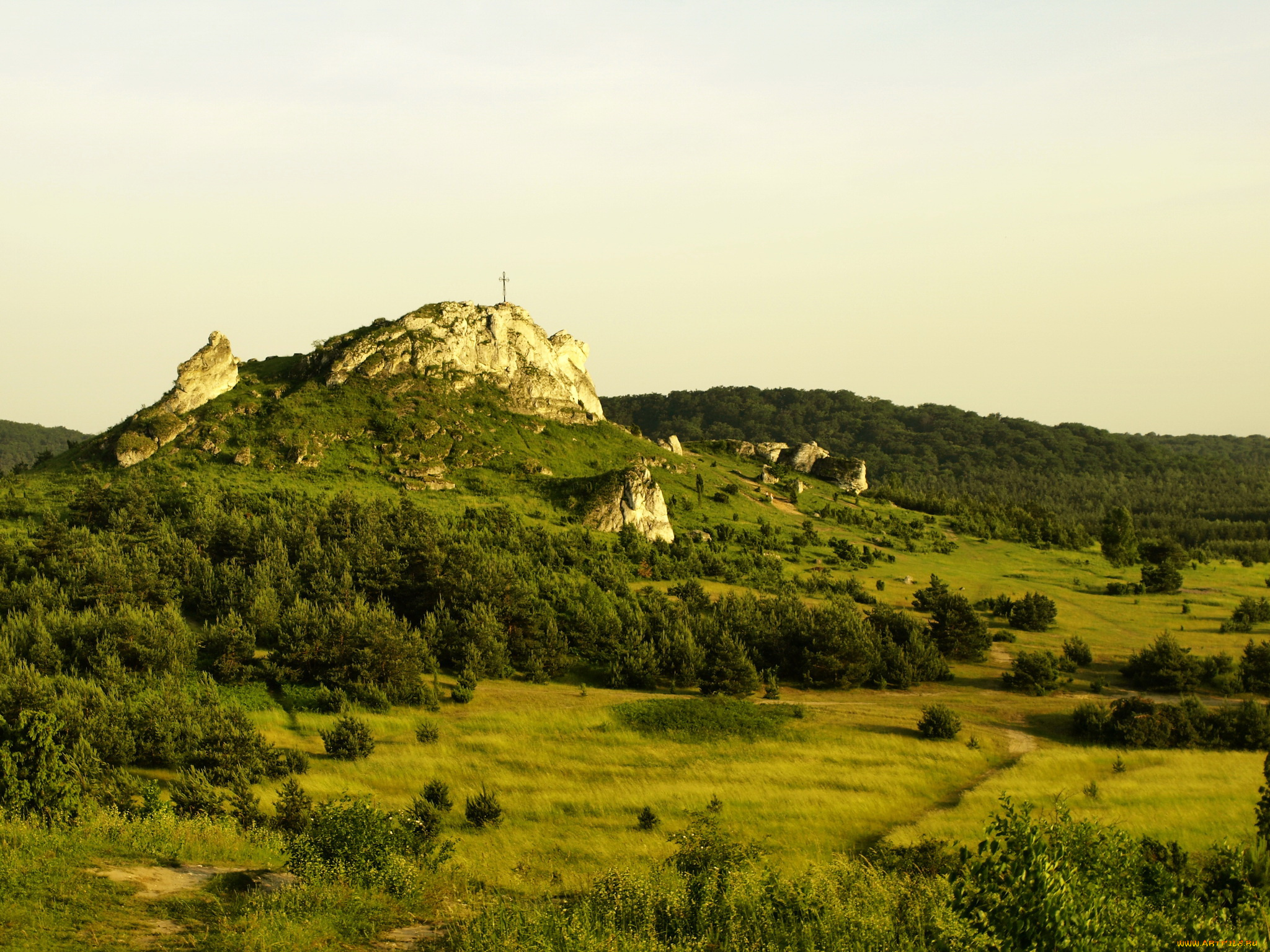 буковина, татшаньская, польша, природа, горы, долина, лес