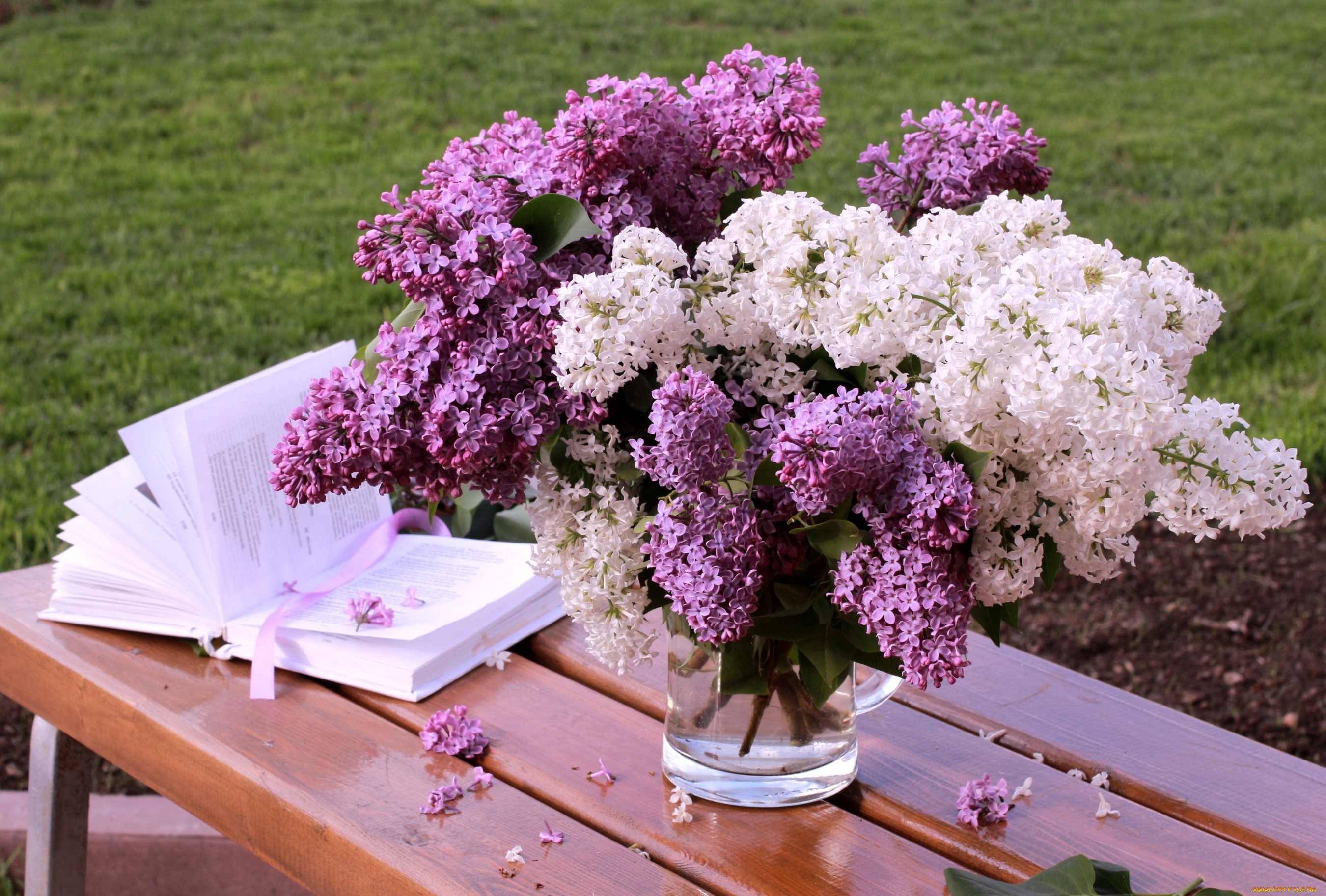 цветы, сирень, букет, книга