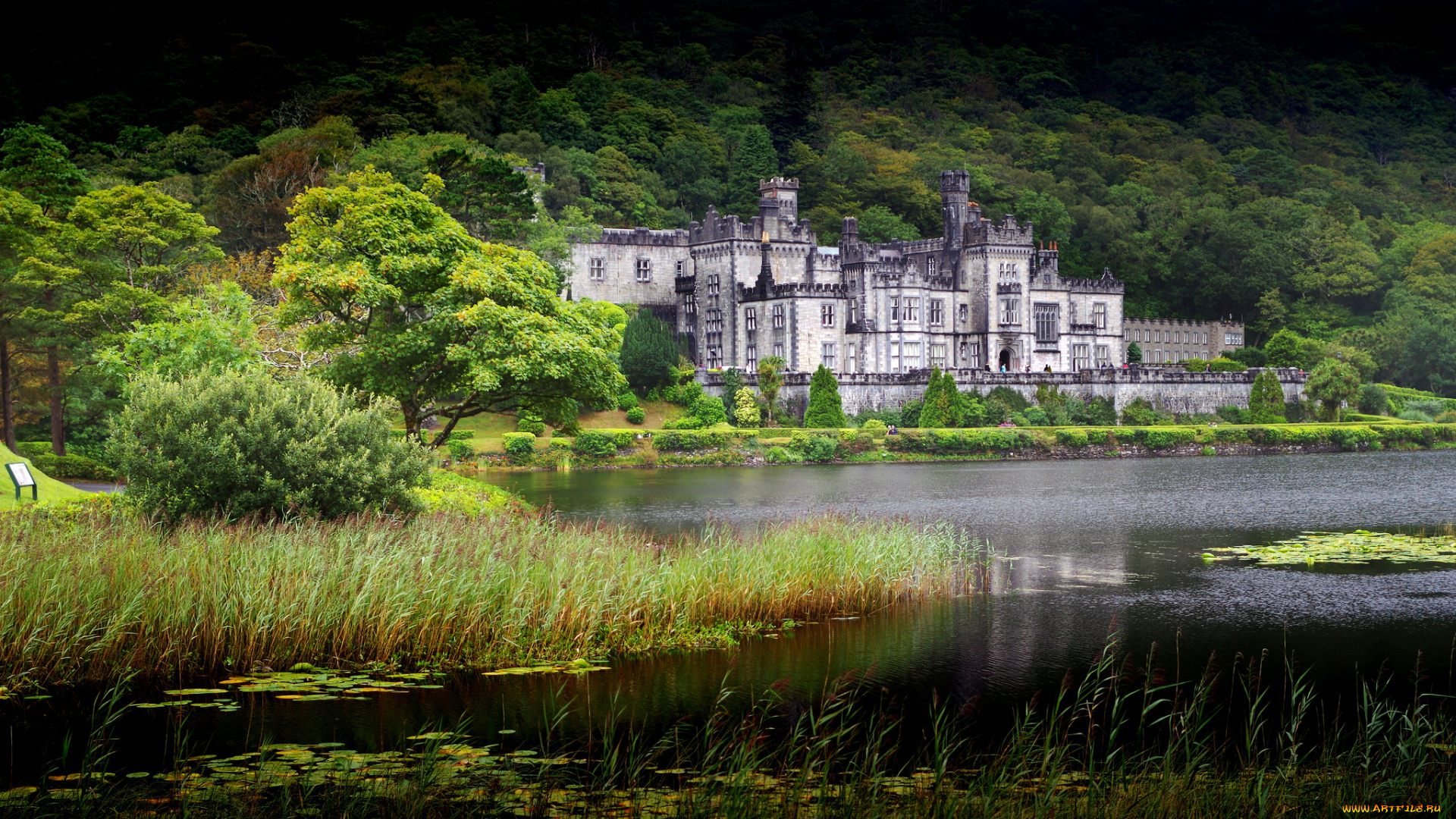 kylemore, abbey, города, -, католические, соборы, , костелы, , аббатства, замок, река, лес