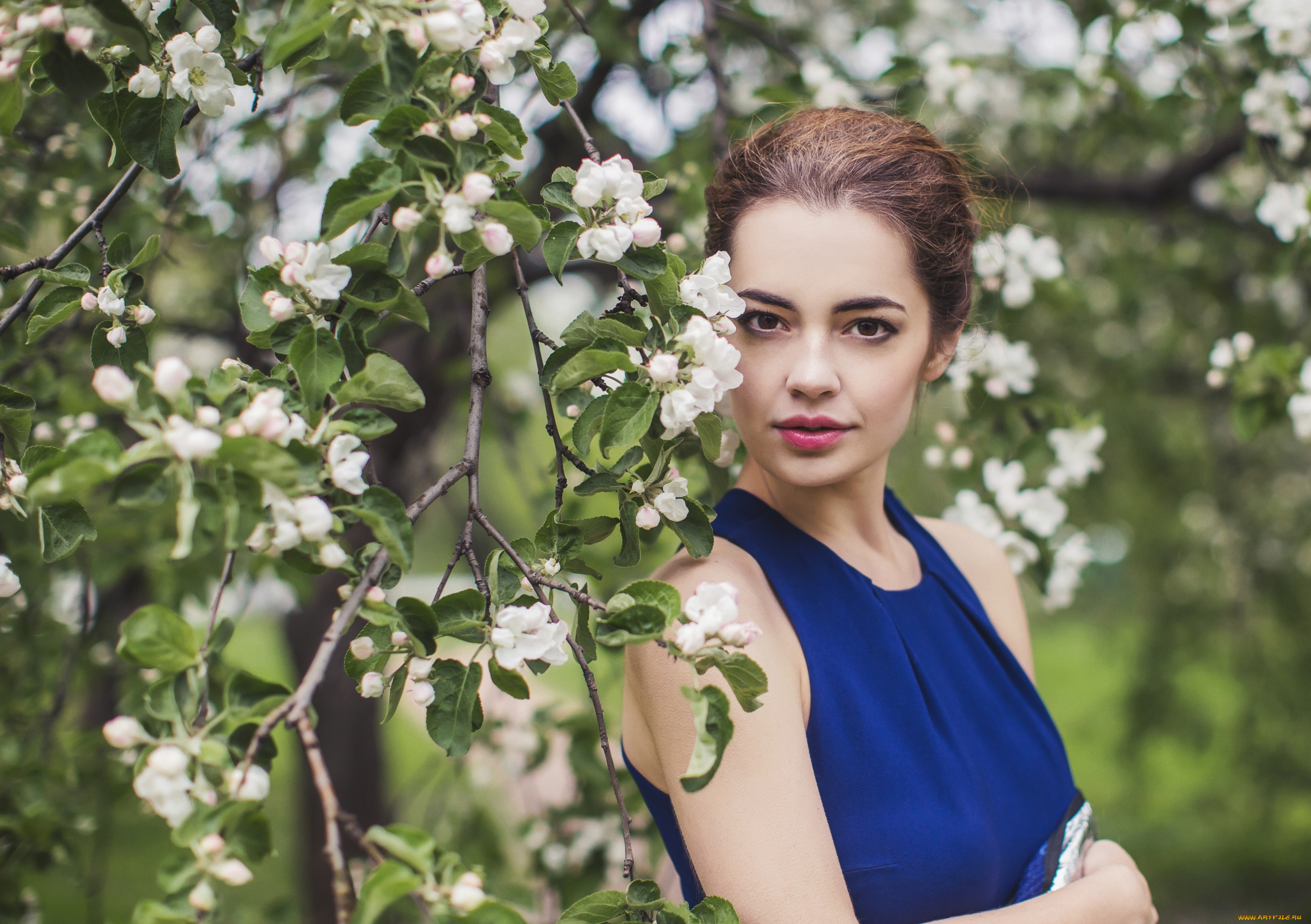 девушки, лидия, сергеева, весна