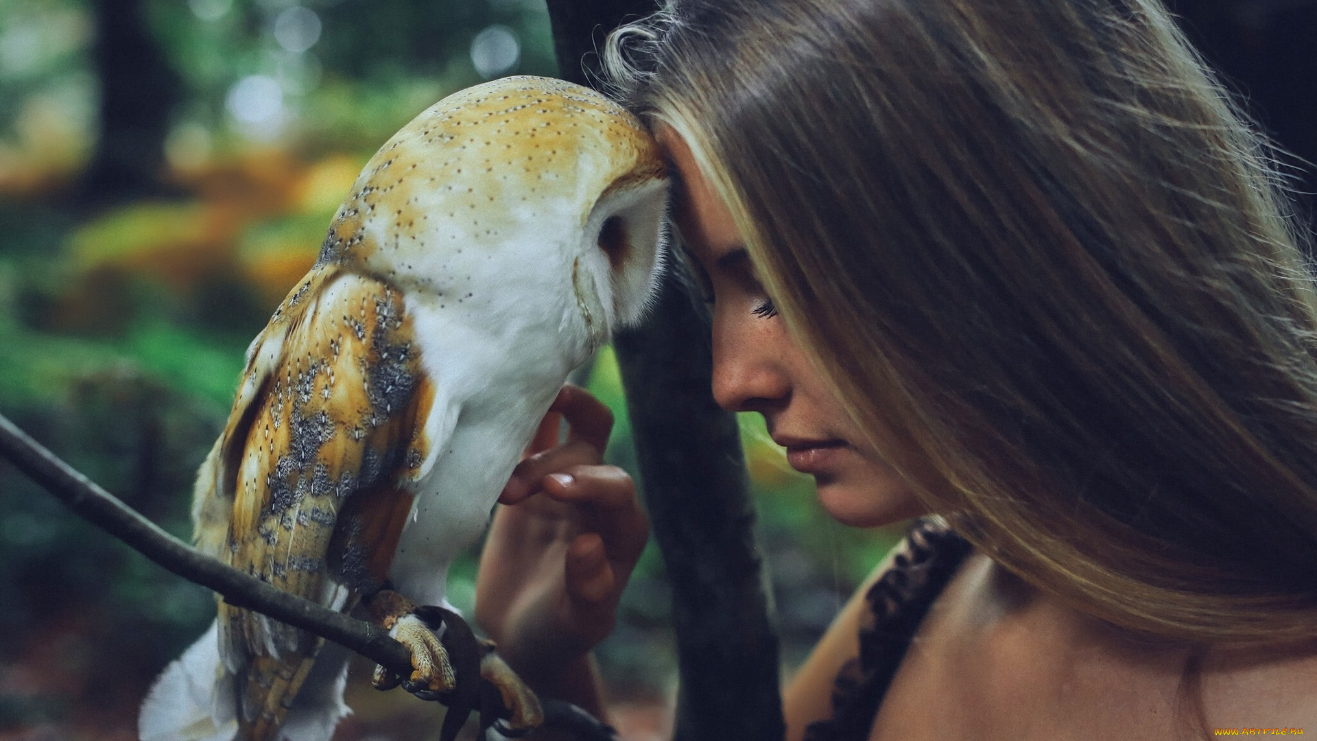 девушки, -unsort, , лица, , портреты, настроение, волосы, девушка, птица, camille, rochette, сипуха, сова