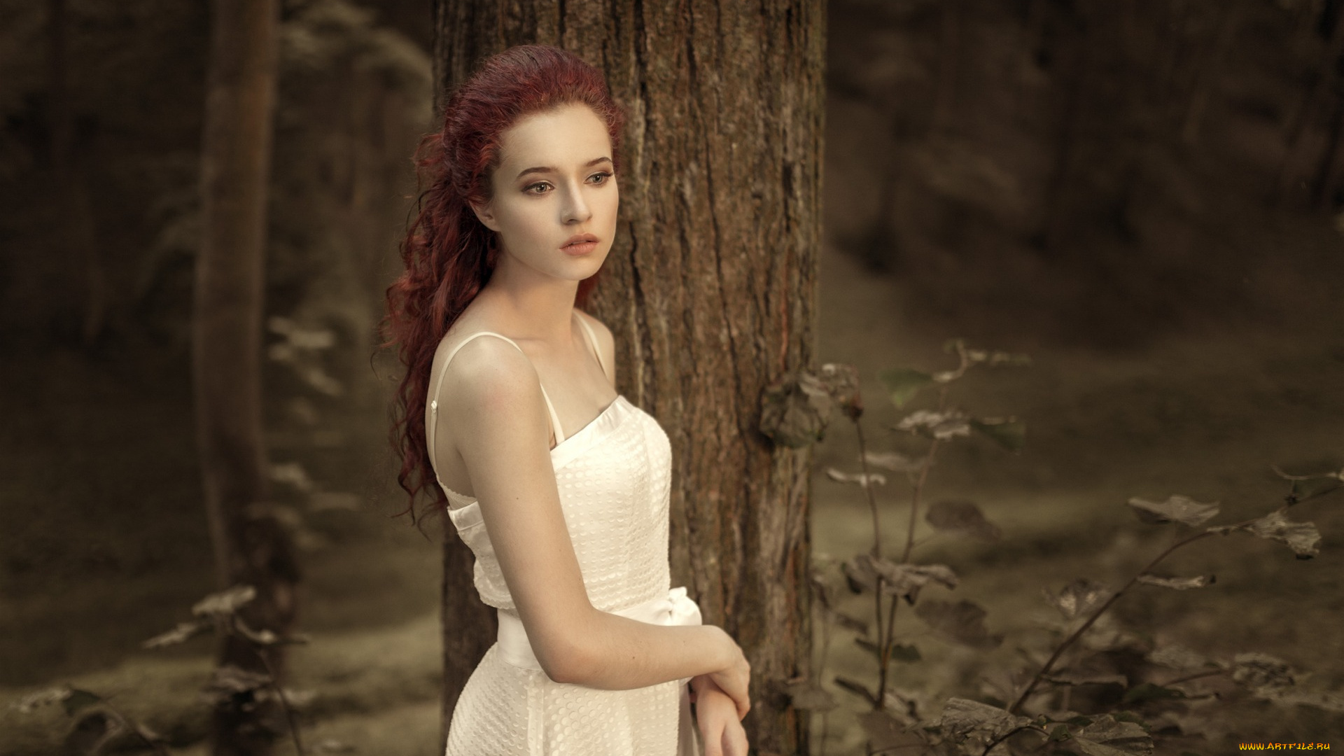 девушки, -unsort, , рыжеволосые, и, другие, одна, в, лесу, у, дерева, боке, девушка, красивая, платье, белом
