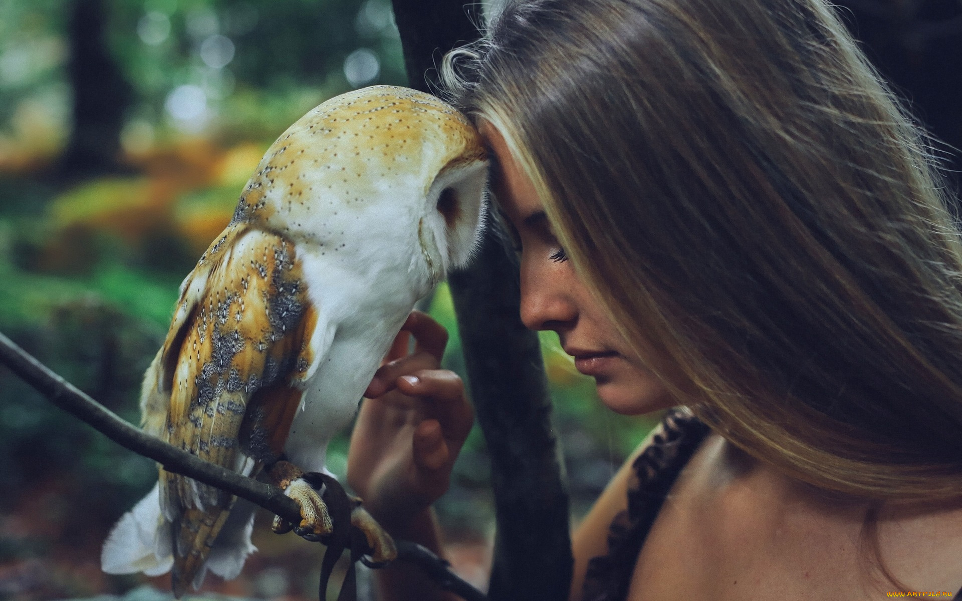 девушки, -unsort, , лица, , портреты, настроение, волосы, девушка, птица, camille, rochette, сипуха, сова