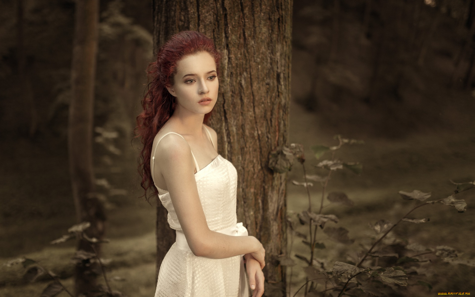 девушки, -unsort, , рыжеволосые, и, другие, одна, в, лесу, у, дерева, боке, девушка, красивая, платье, белом