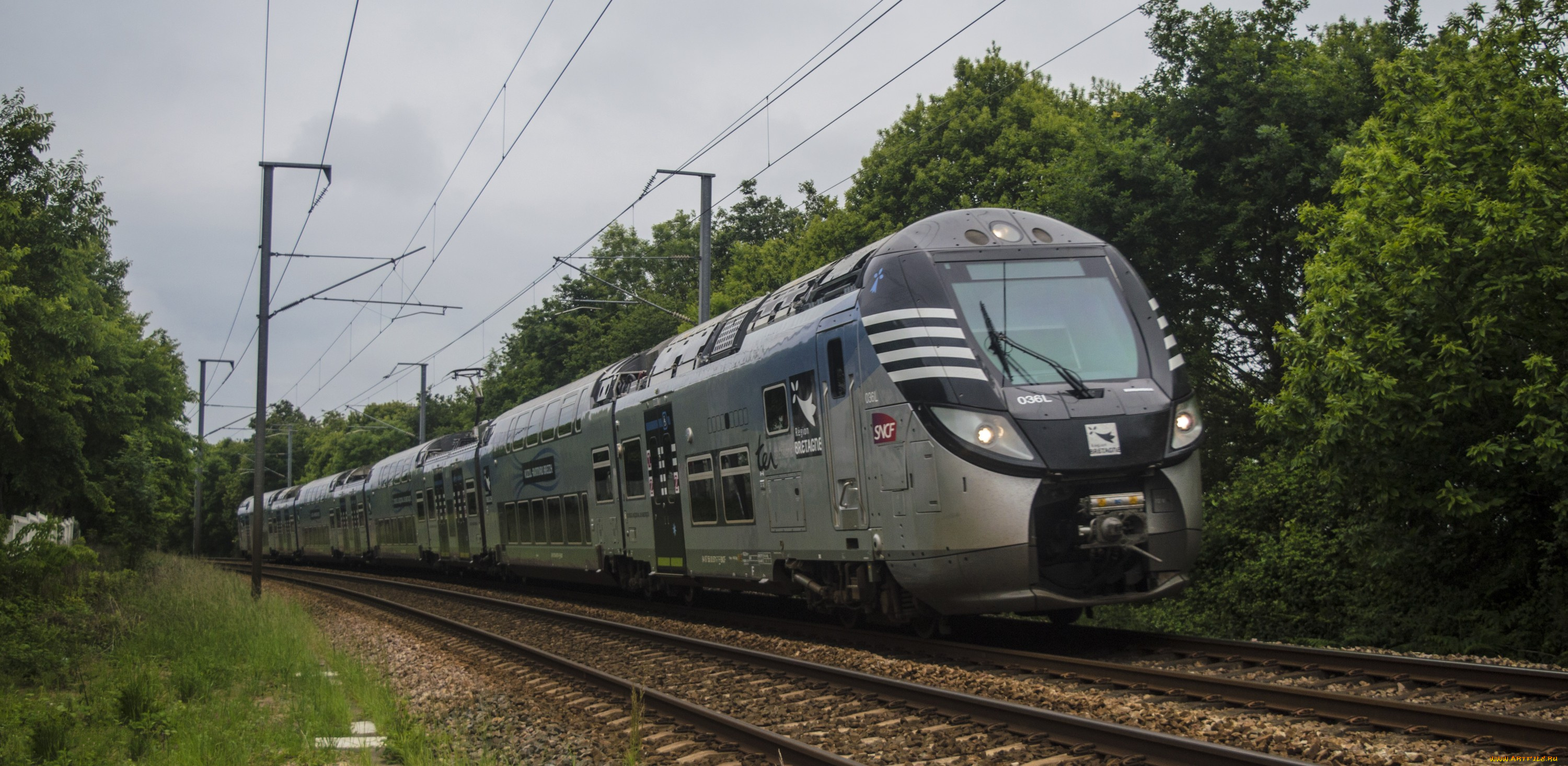 техника, поезда, железная, дорога, рельсы, локомотив, состав