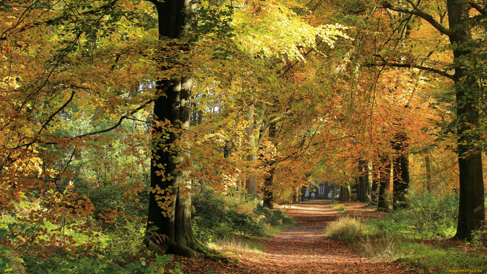 природа, дороги, тракт