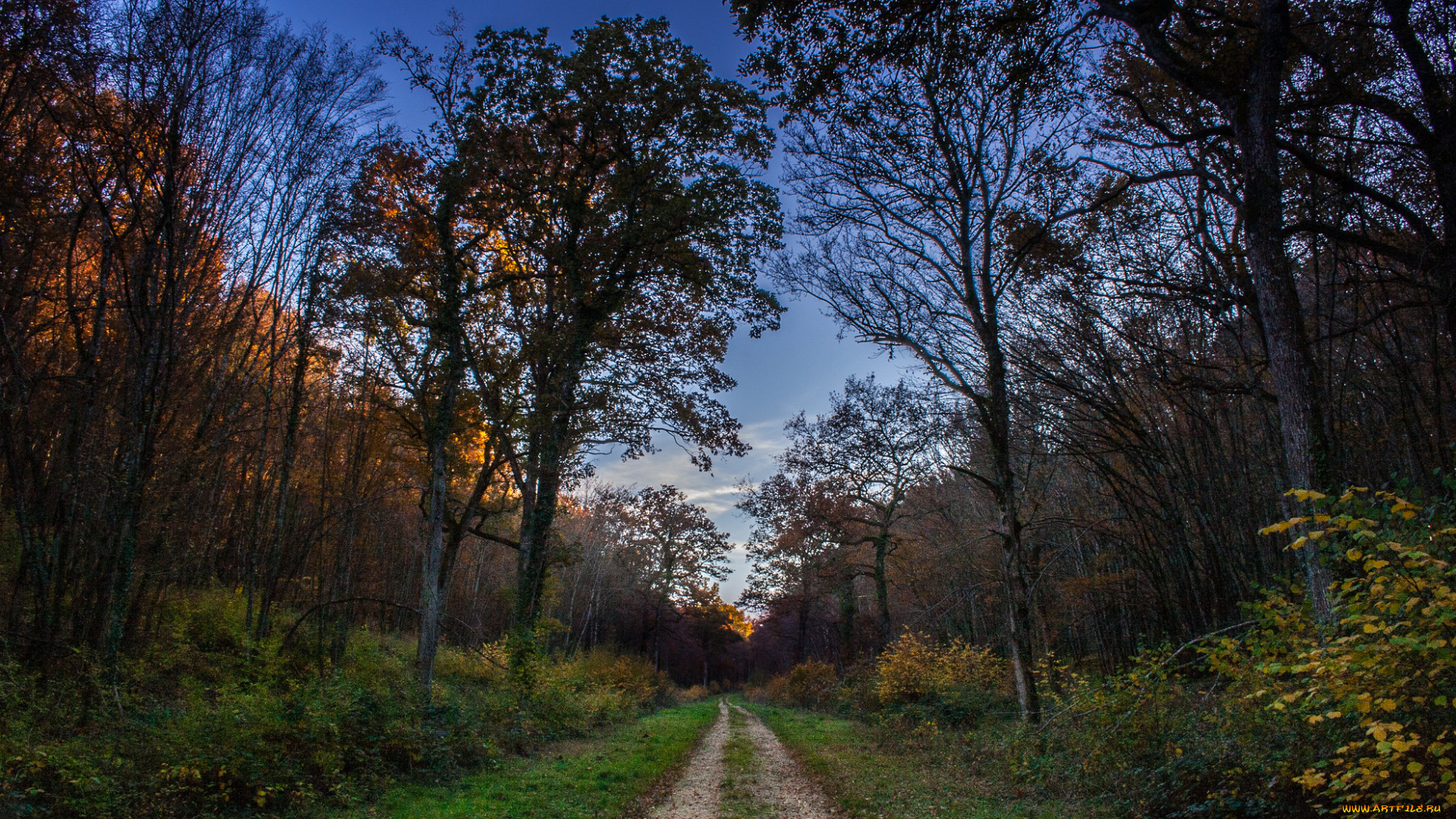 природа, дороги, тракт