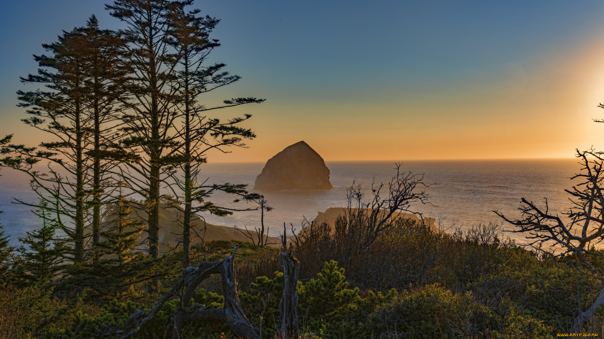 природа, побережье, море, берег