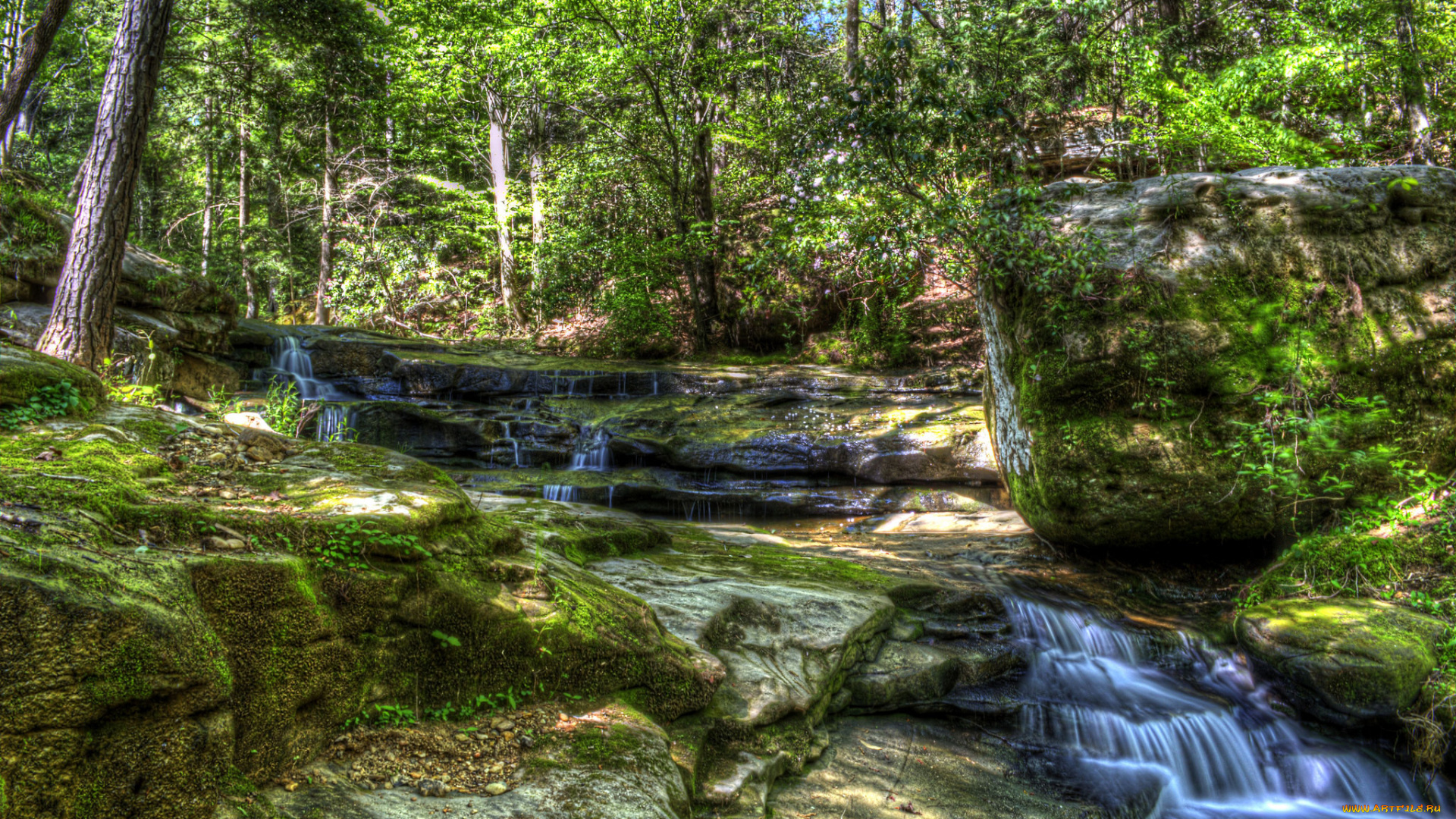 природа, реки, озера, лес, река