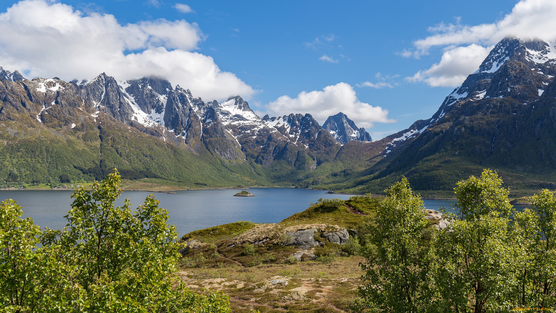 природа, реки, озера, река, лес