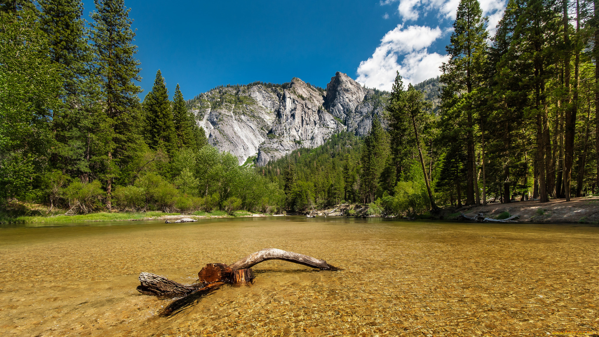 природа, реки, озера, река, лес