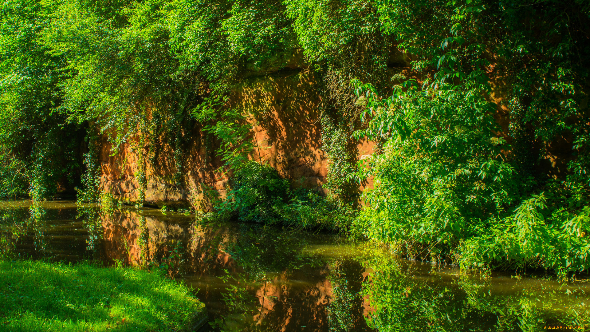 природа, реки, озера, река, лес