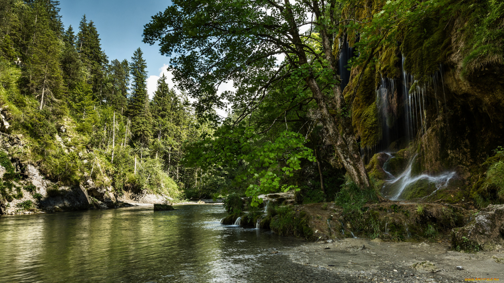 природа, реки, озера, река, лес