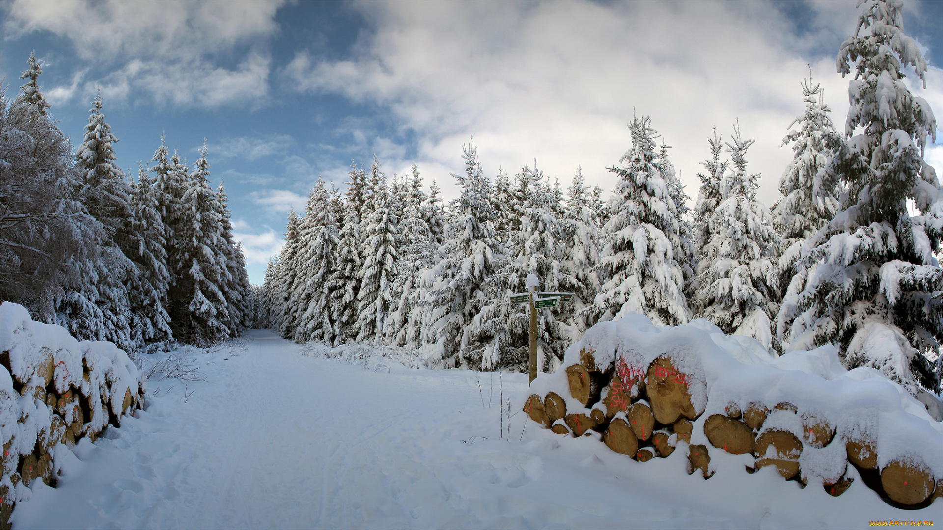 природа, зима, снег