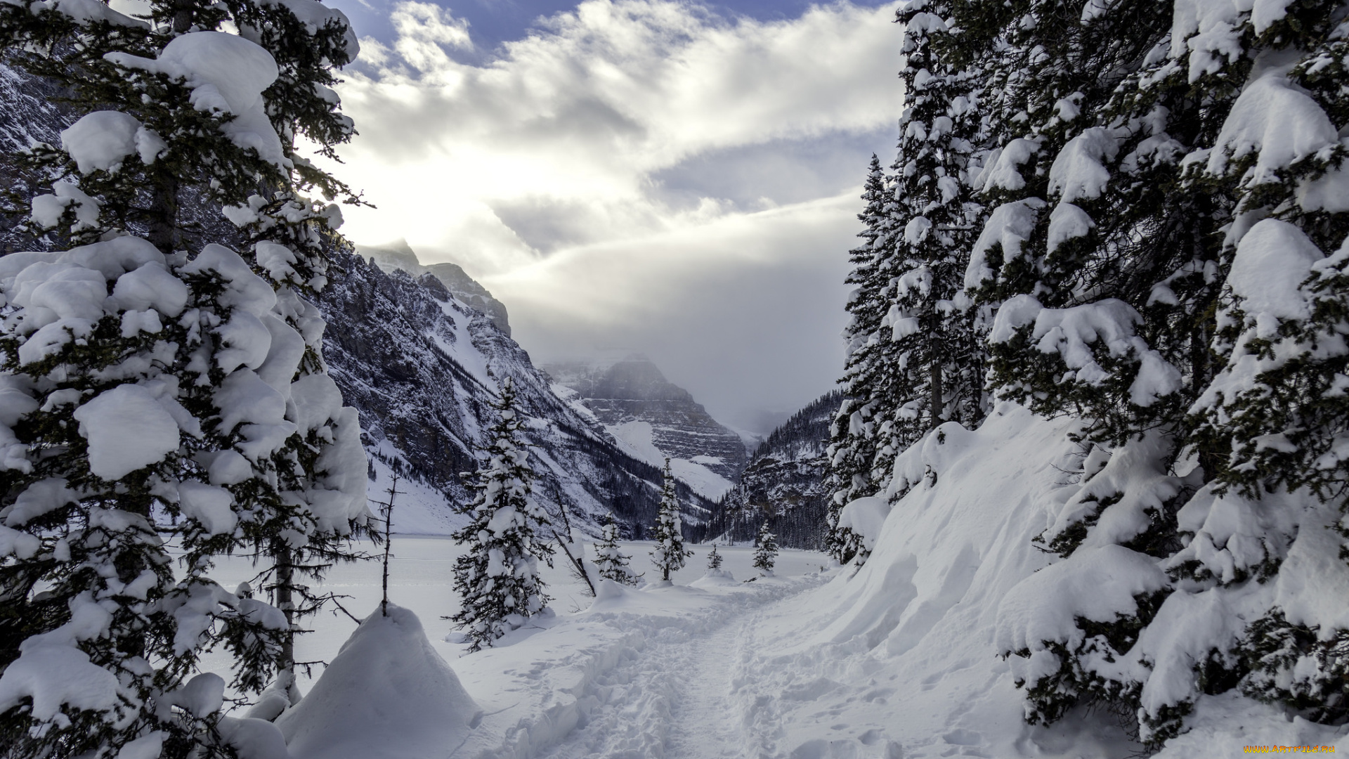 природа, зима, снег