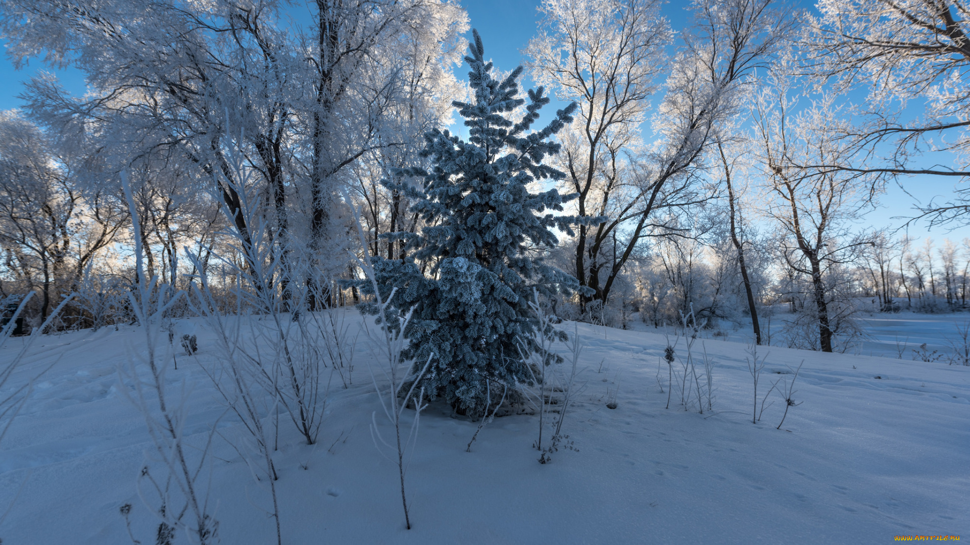 природа, зима, снег