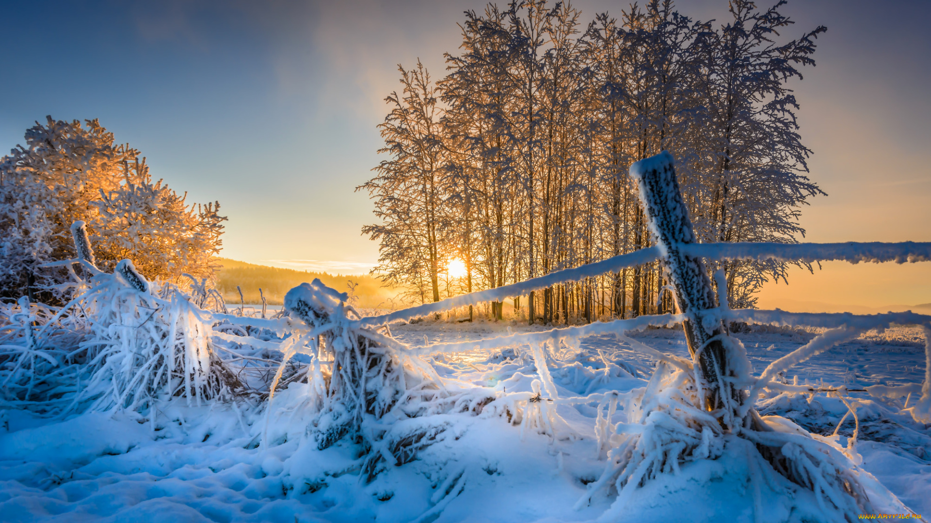 природа, зима, снег