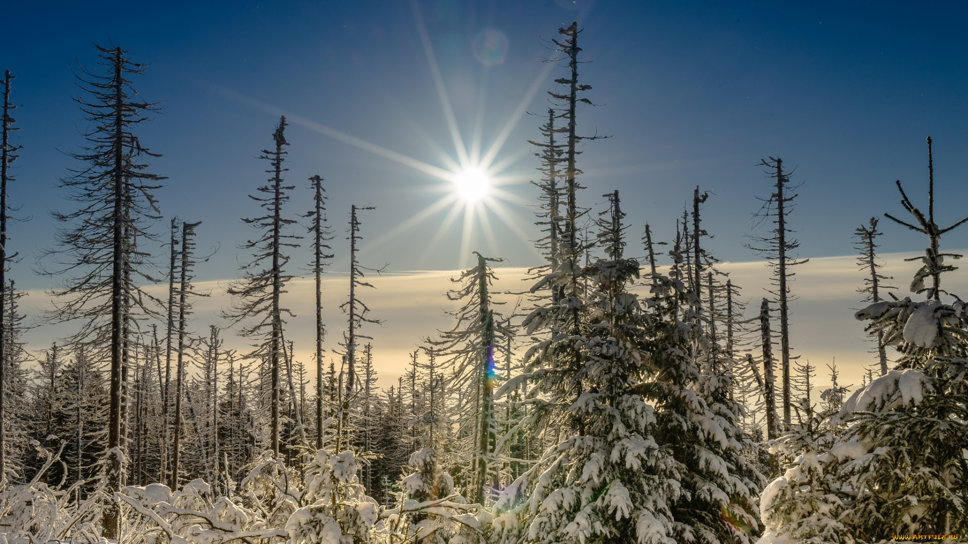 природа, зима, снег