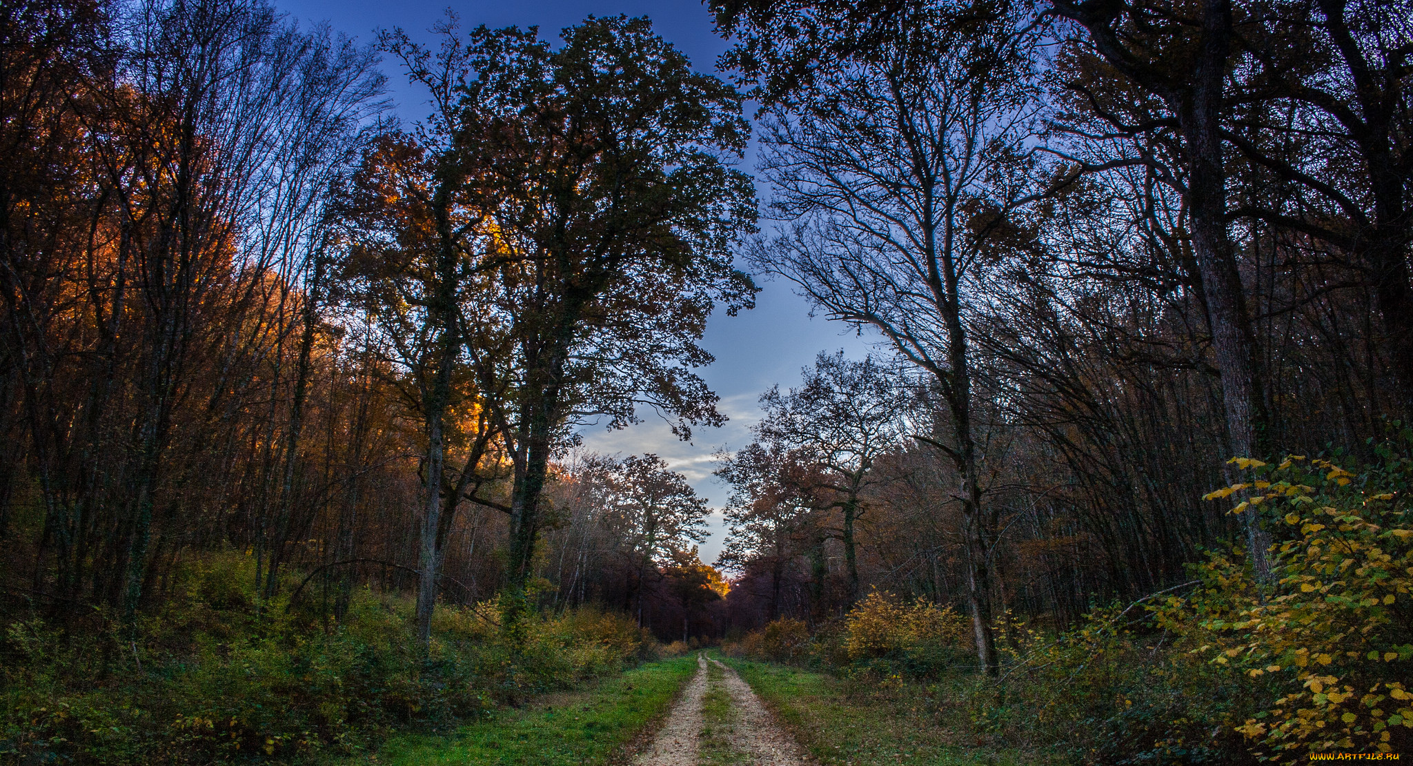 природа, дороги, тракт