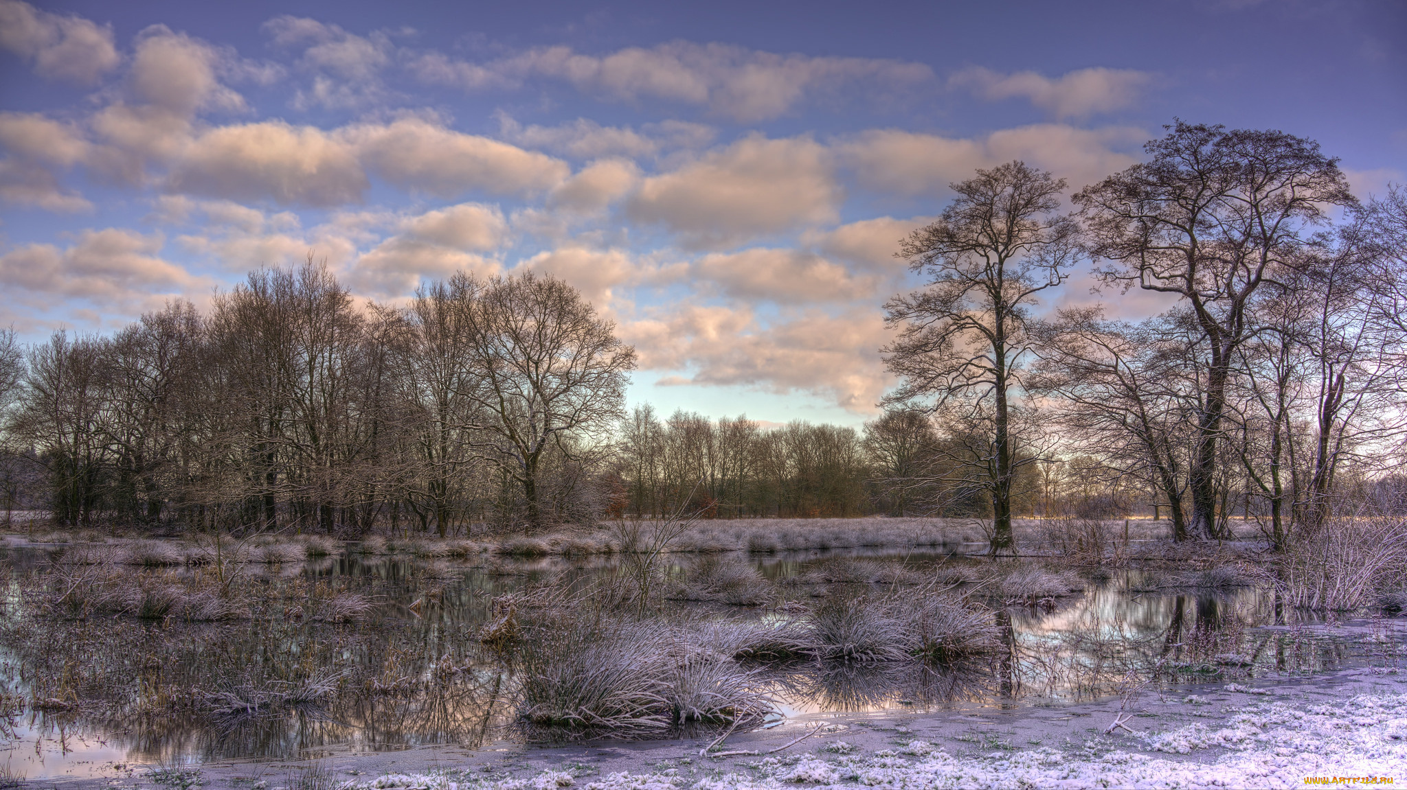 природа, реки, озера, река, лес