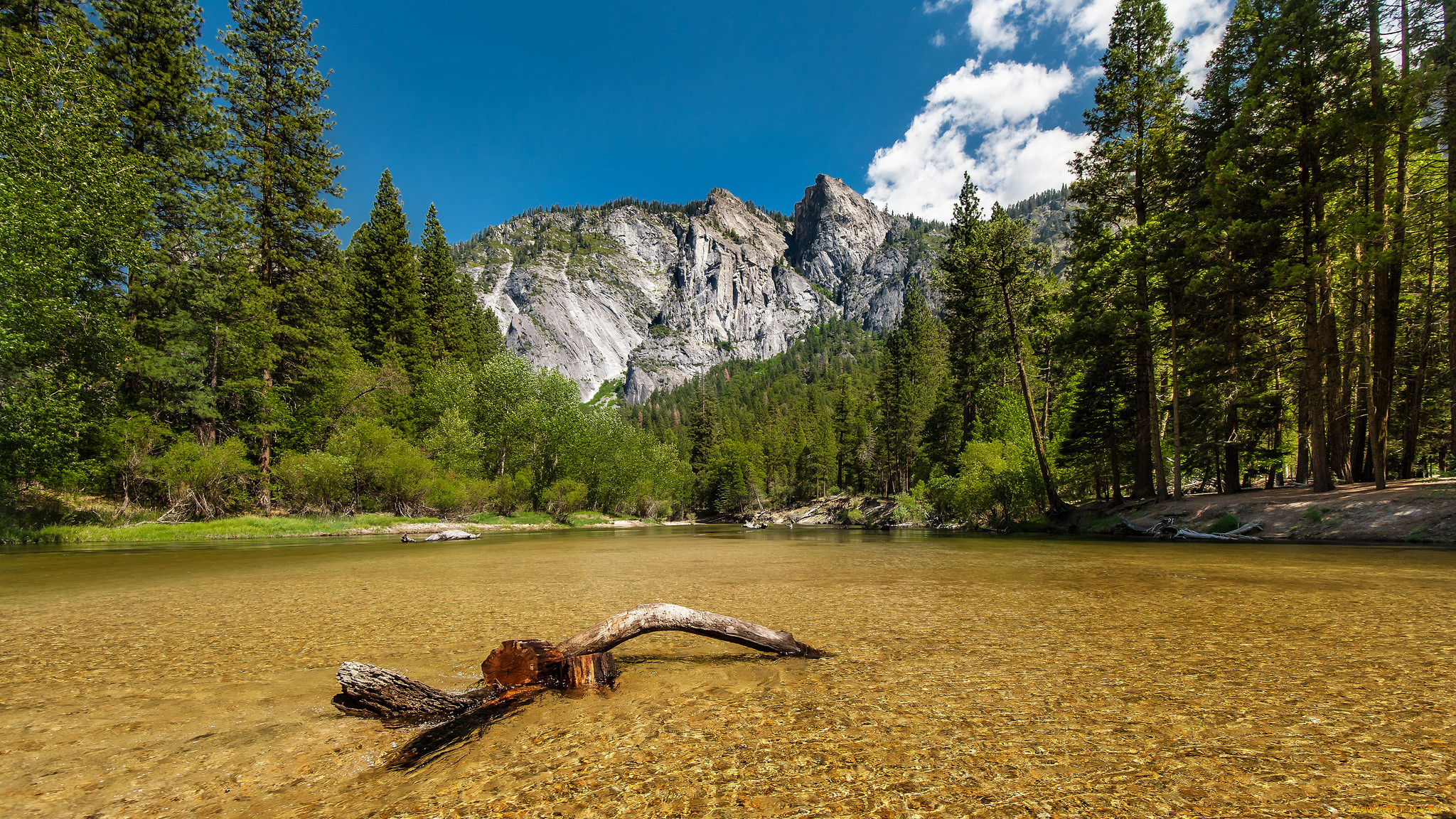 природа, реки, озера, река, лес