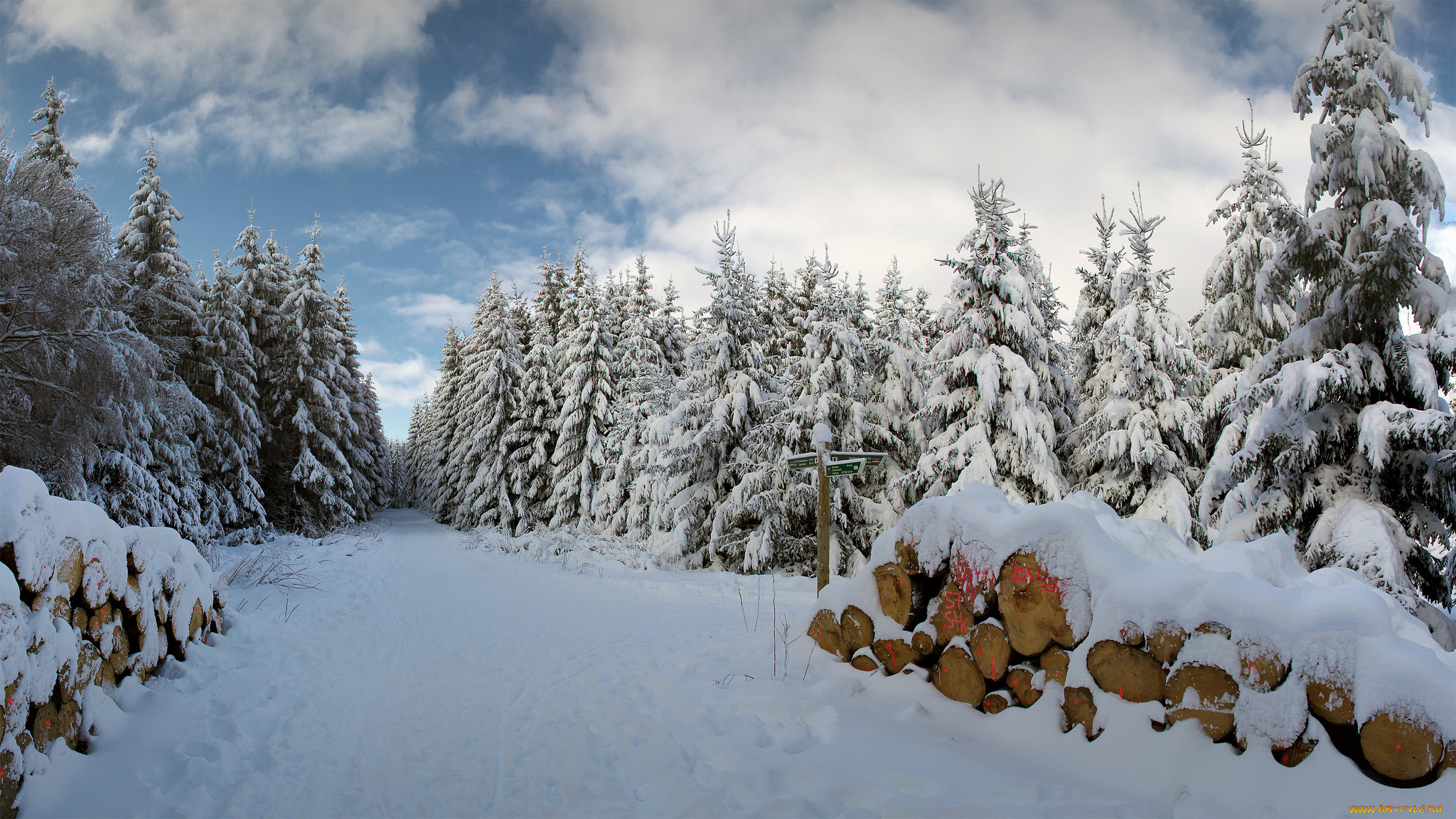 природа, зима, снег