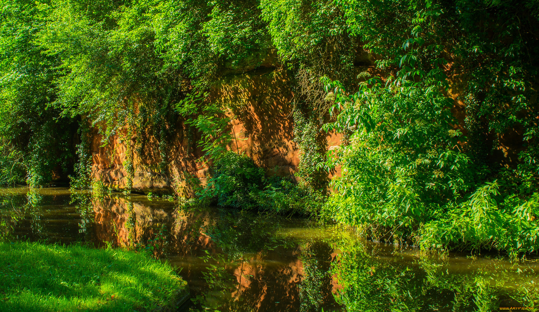 природа, реки, озера, река, лес