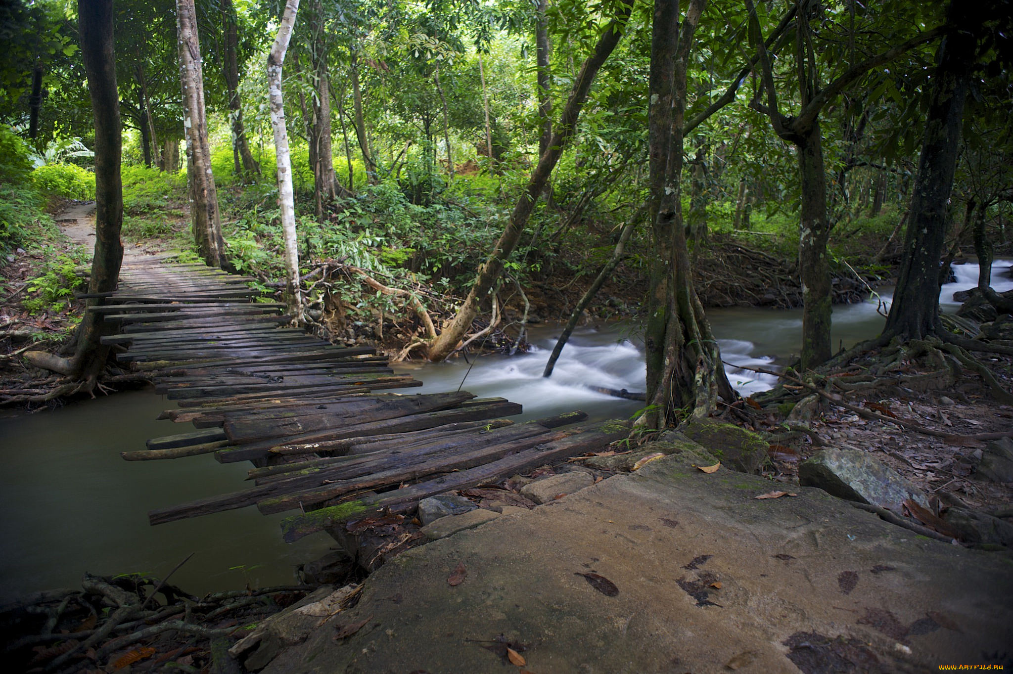 природа, дороги, тракт