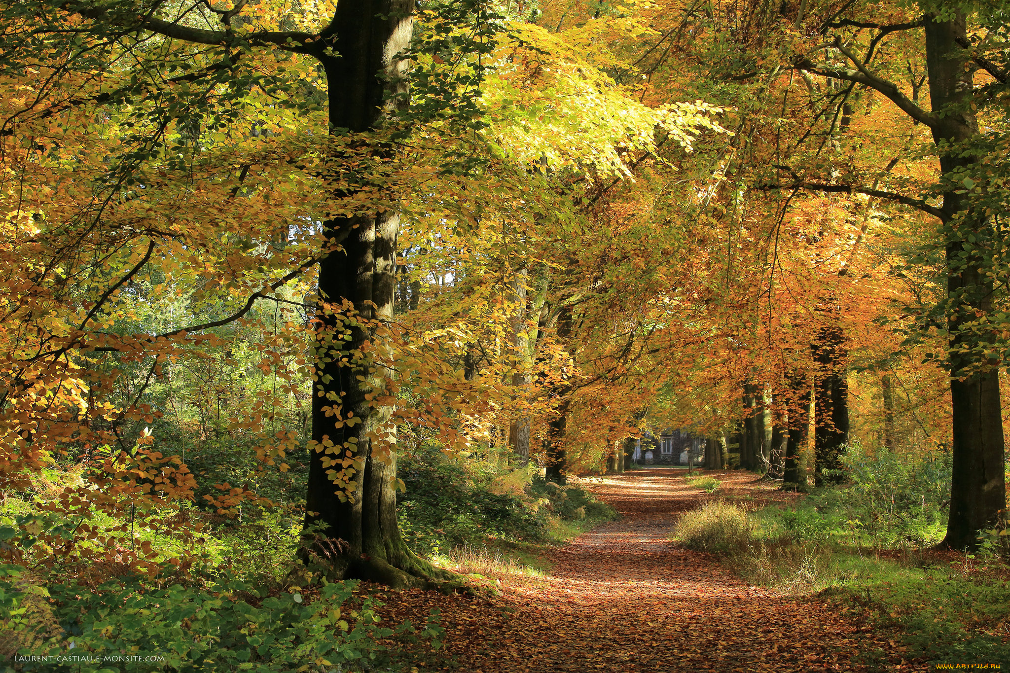 природа, дороги, тракт