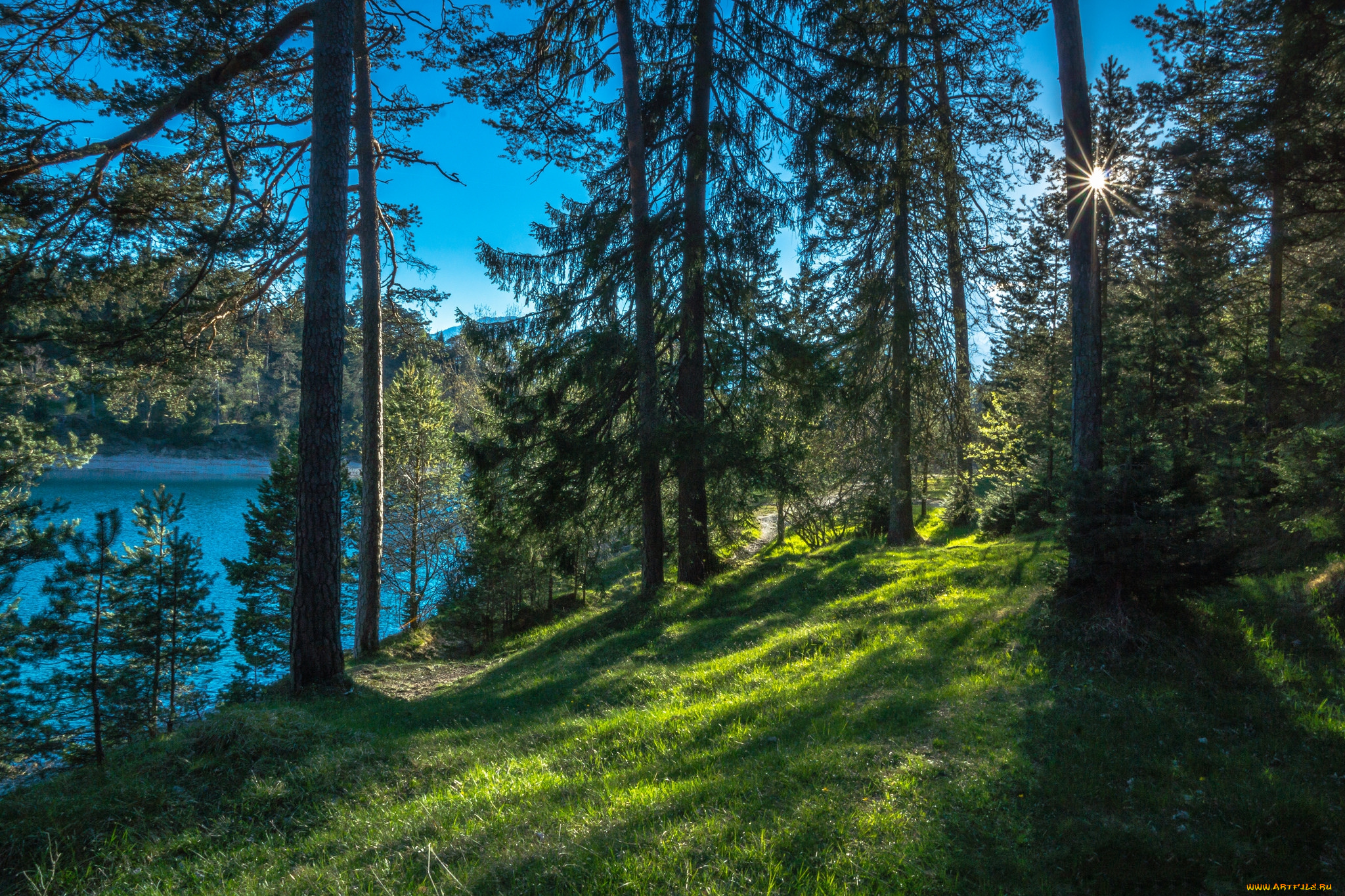 природа, реки, озера, лес, река