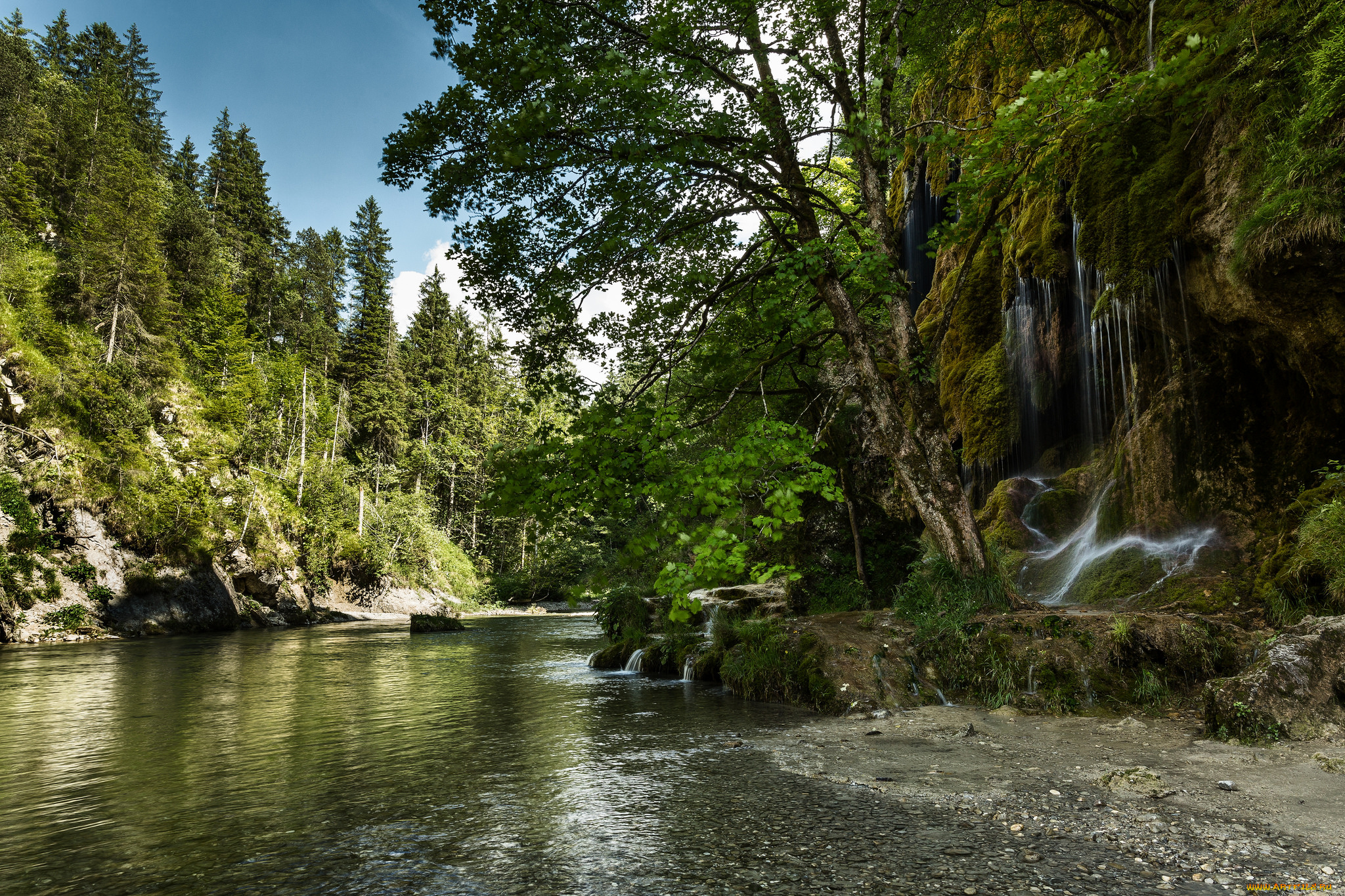 природа, реки, озера, река, лес