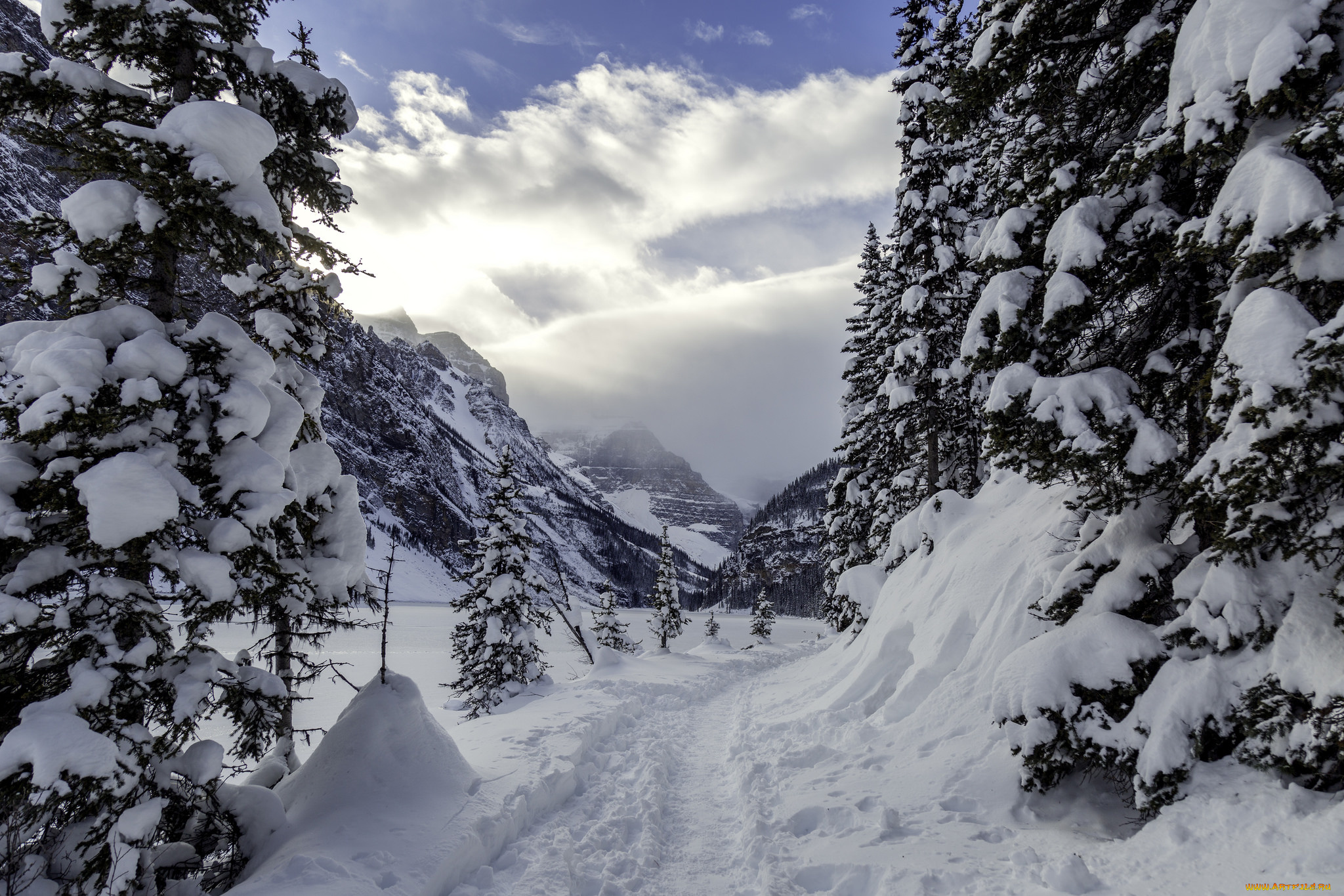 природа, зима, снег