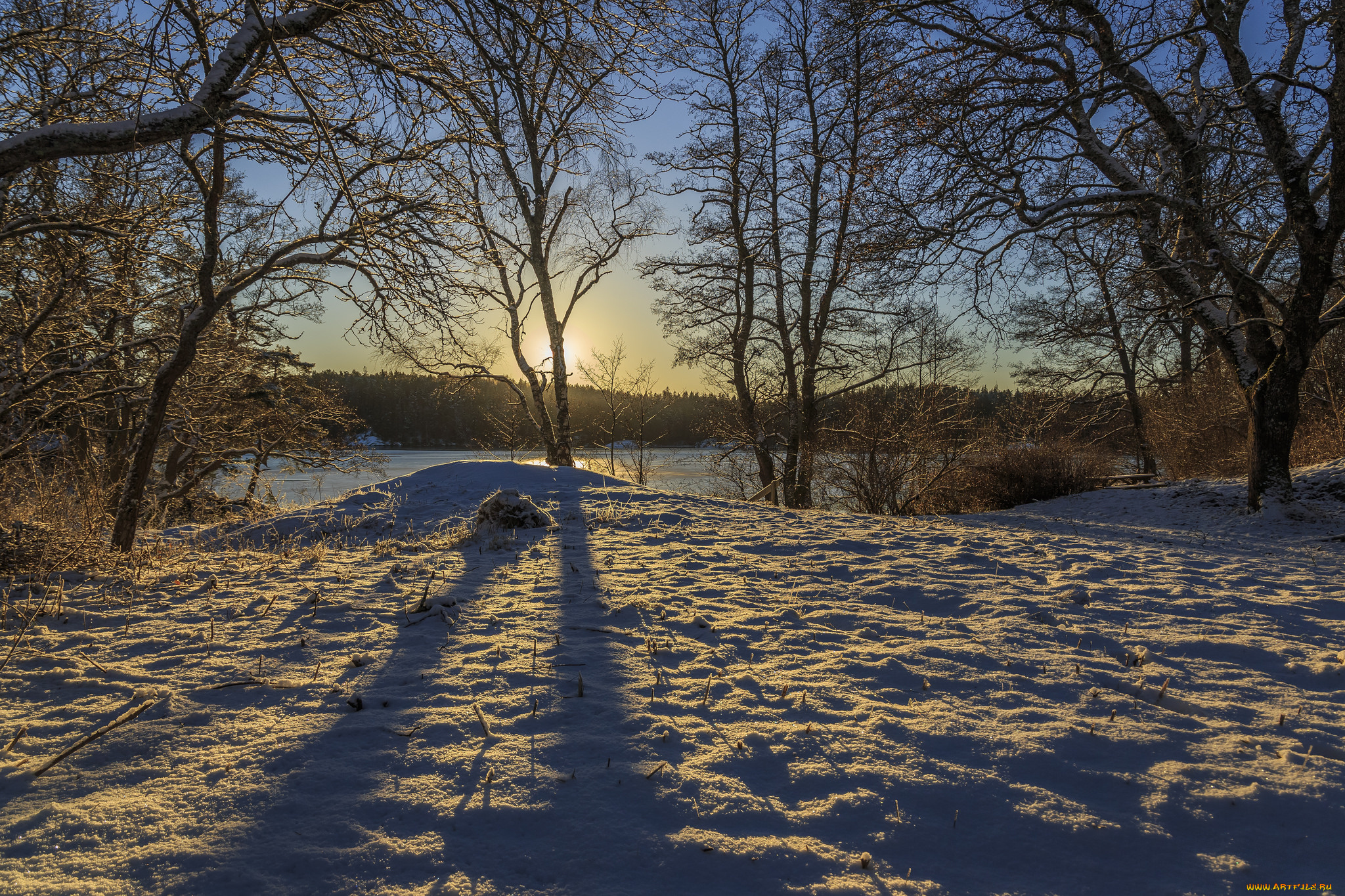 природа, зима, снег