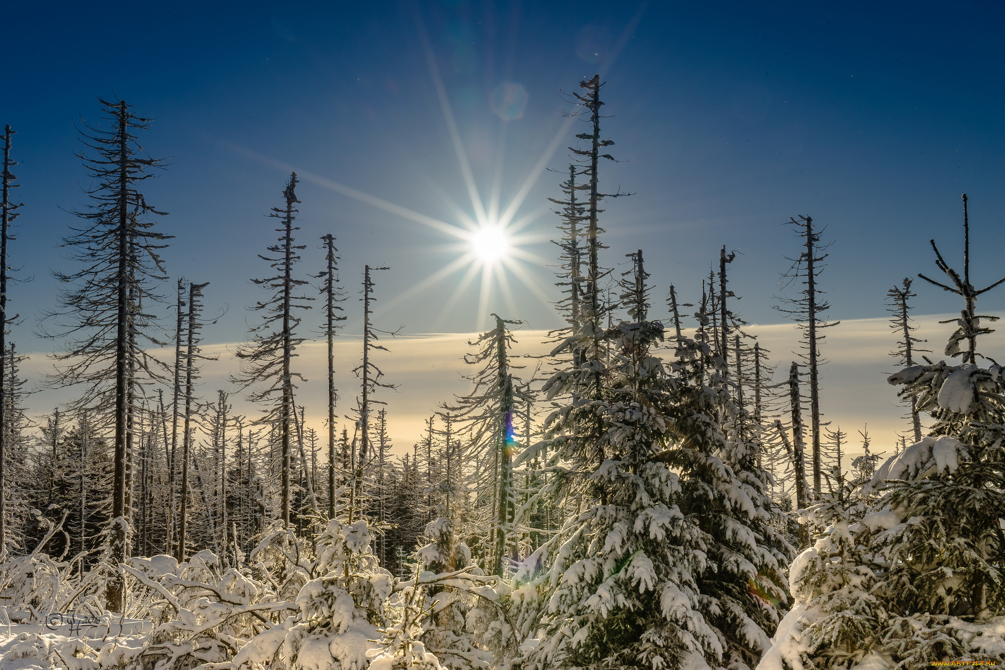 природа, зима, снег