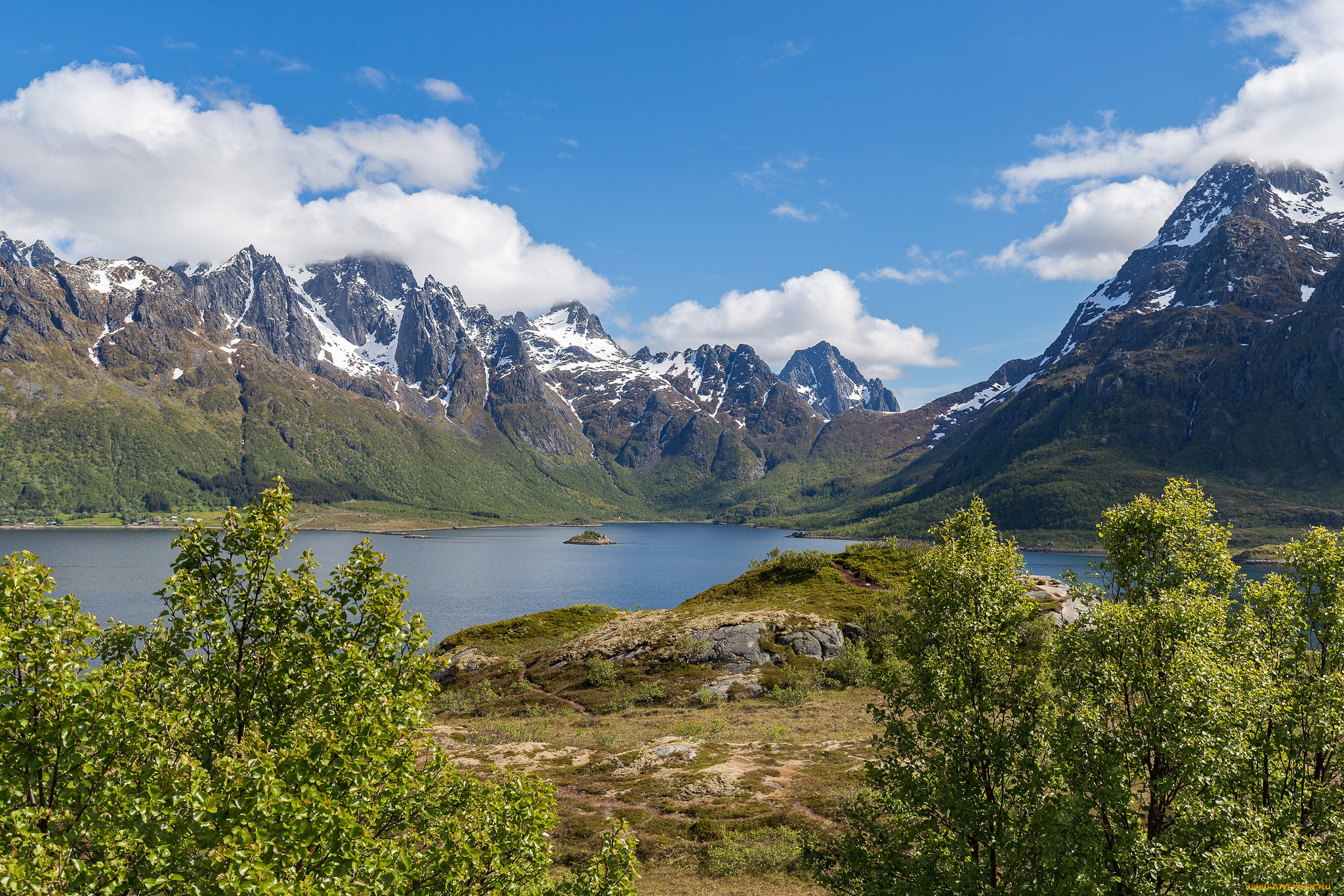 природа, реки, озера, река, лес