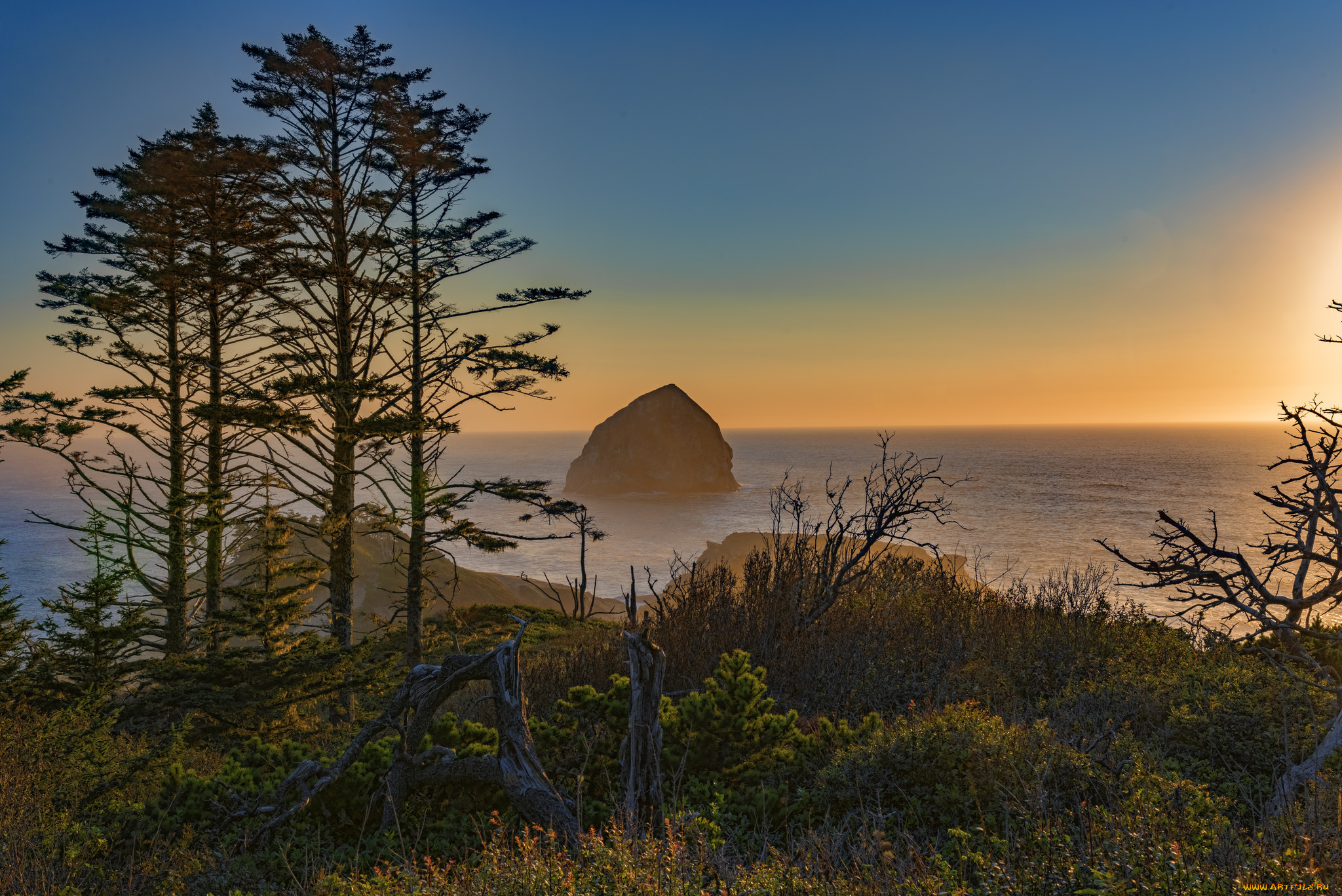 природа, побережье, море, берег