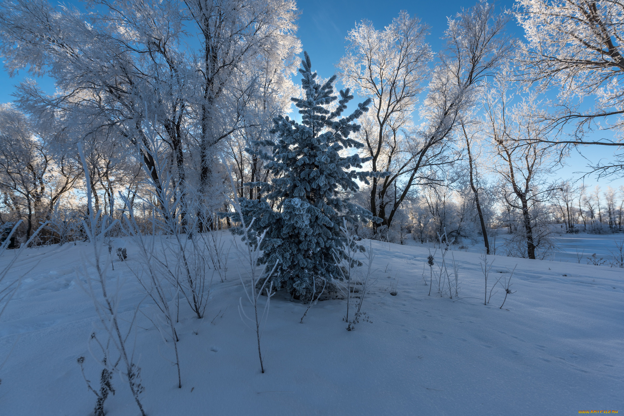 природа, зима, снег