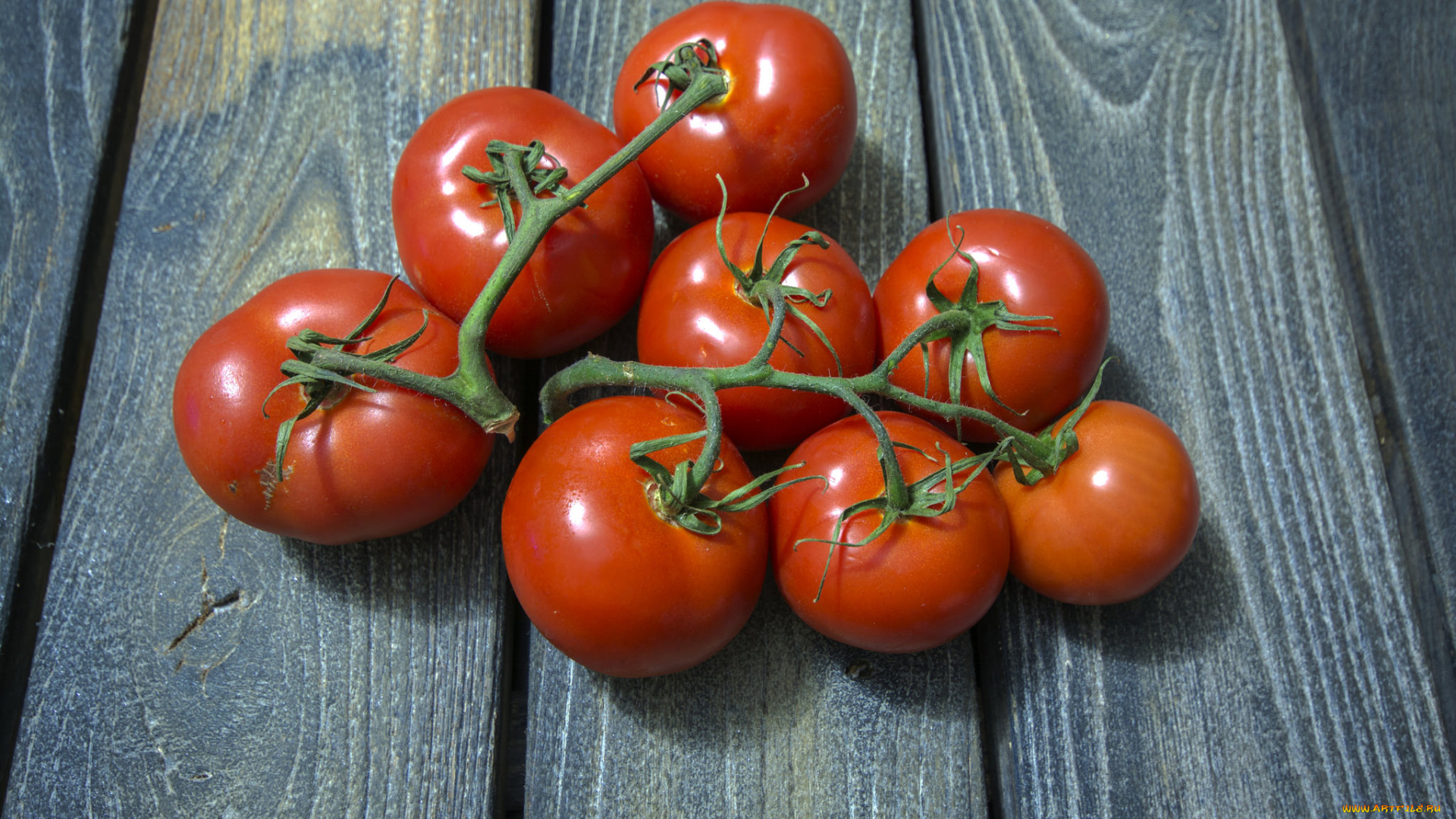 еда, помидоры, плоды, томаты, томат