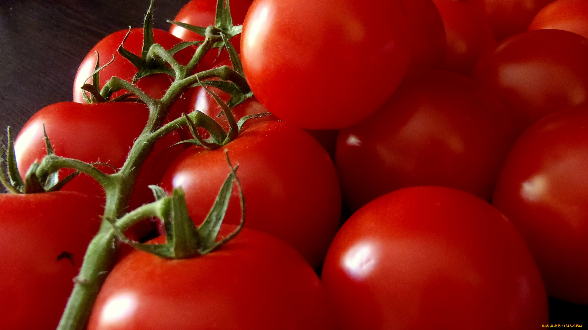 еда, помидоры, плоды, томаты, томат