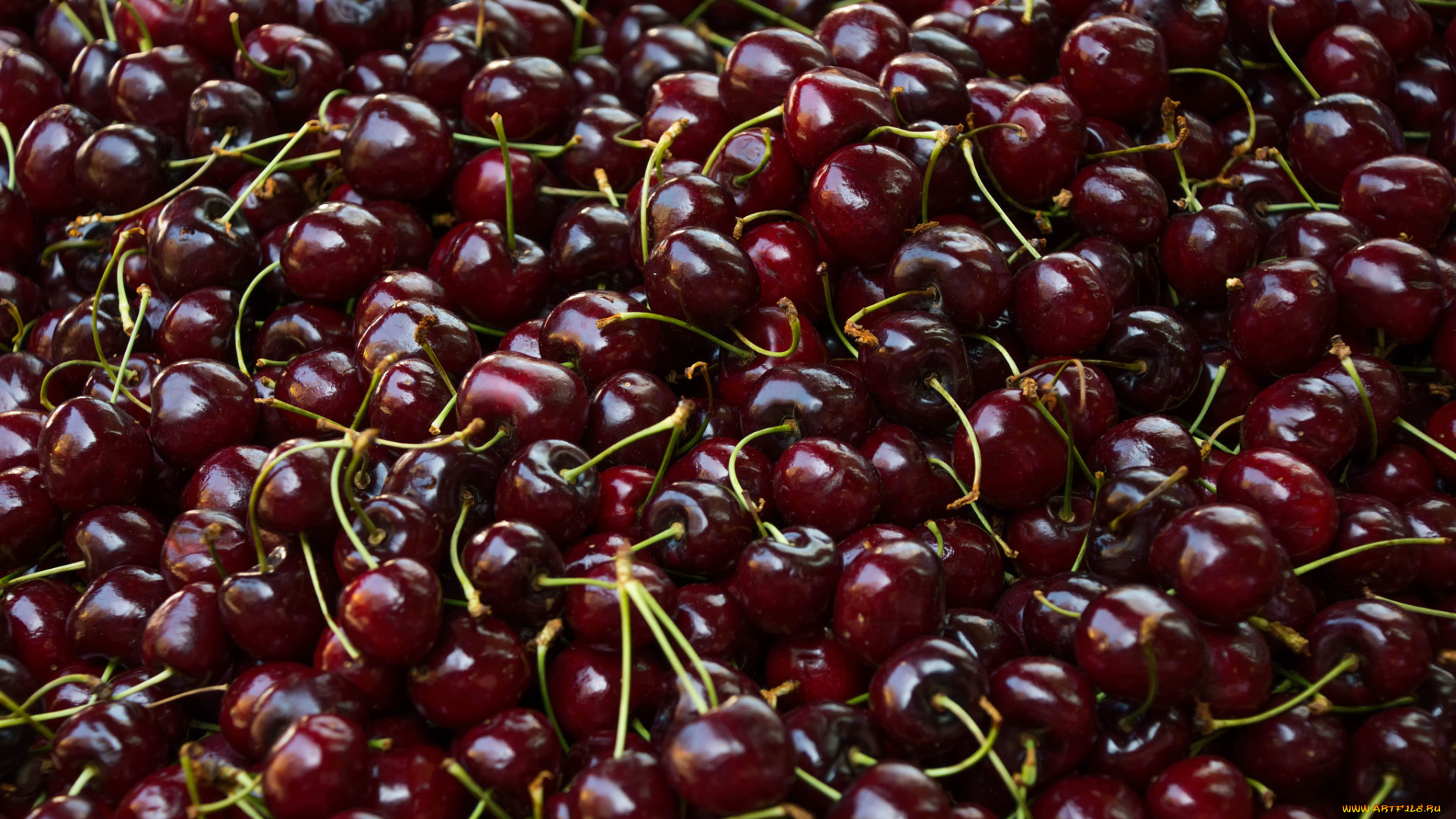 еда, вишня, , черешня, плоды