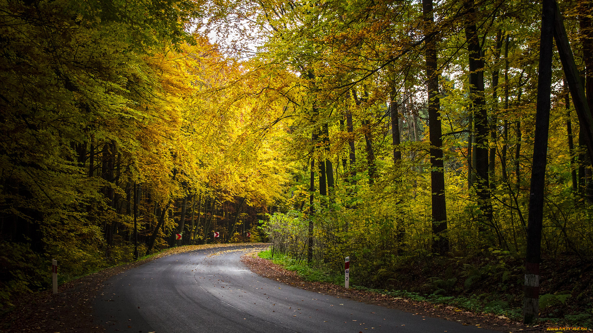 природа, дороги, простор