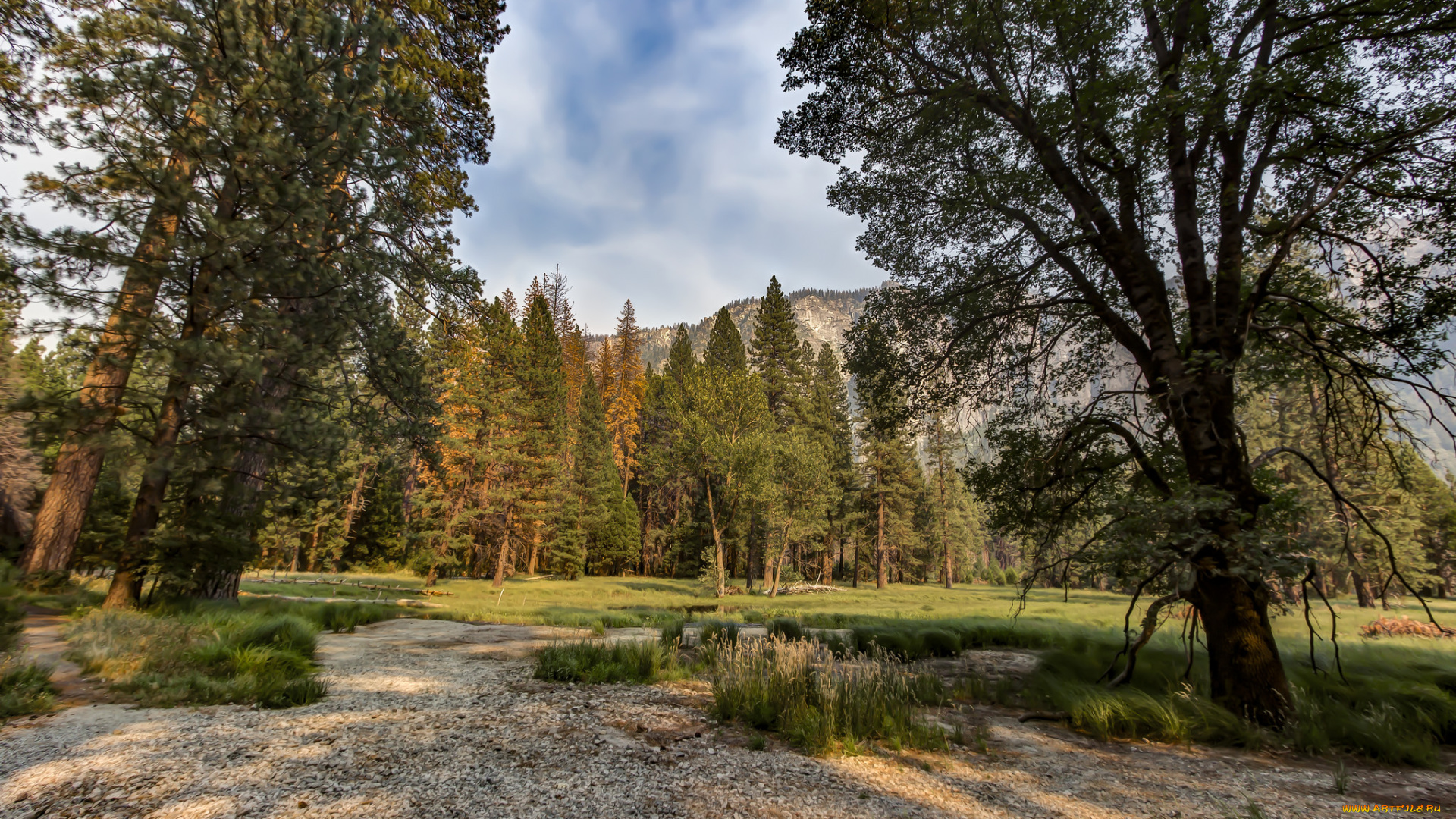 природа, дороги, простор