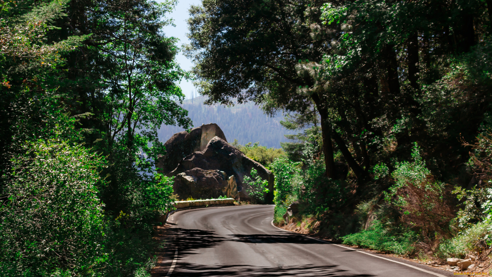 природа, дороги, простор