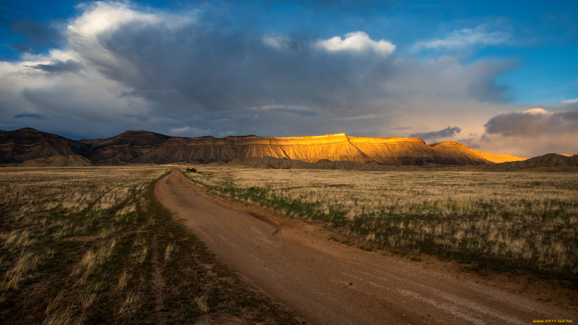 природа, дороги, простор