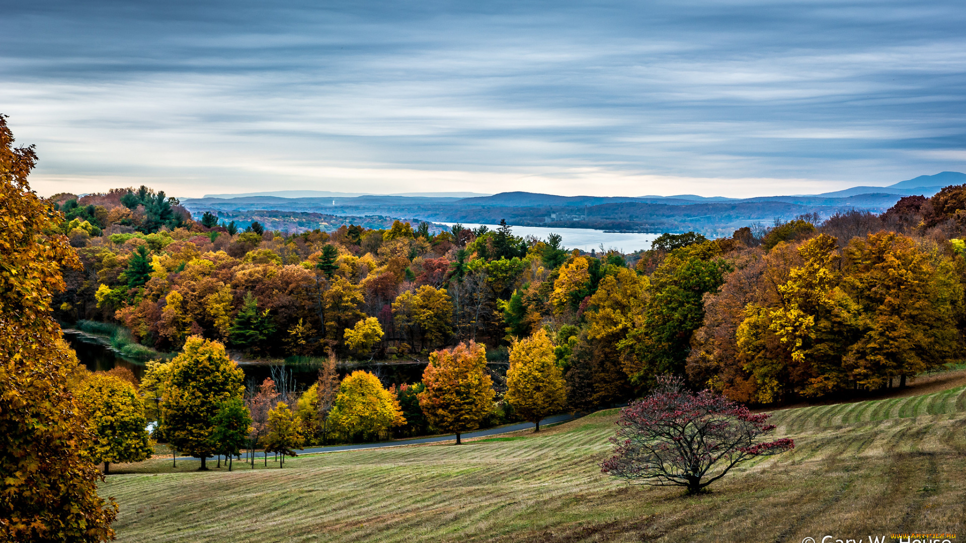 природа, лес, осень