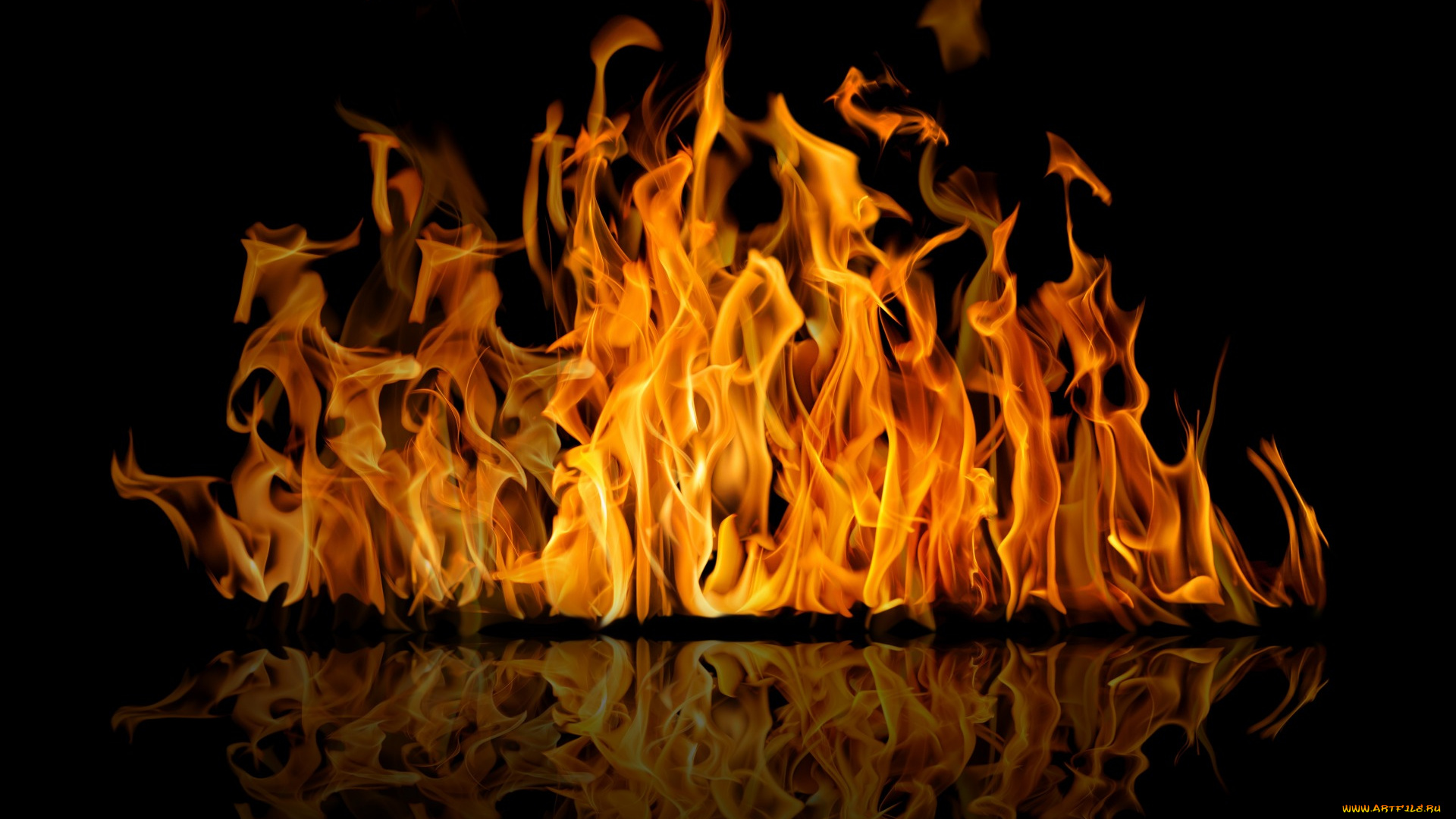 природа, огонь, reflection, чёрный, отражение, фон, flame, пламя, fire