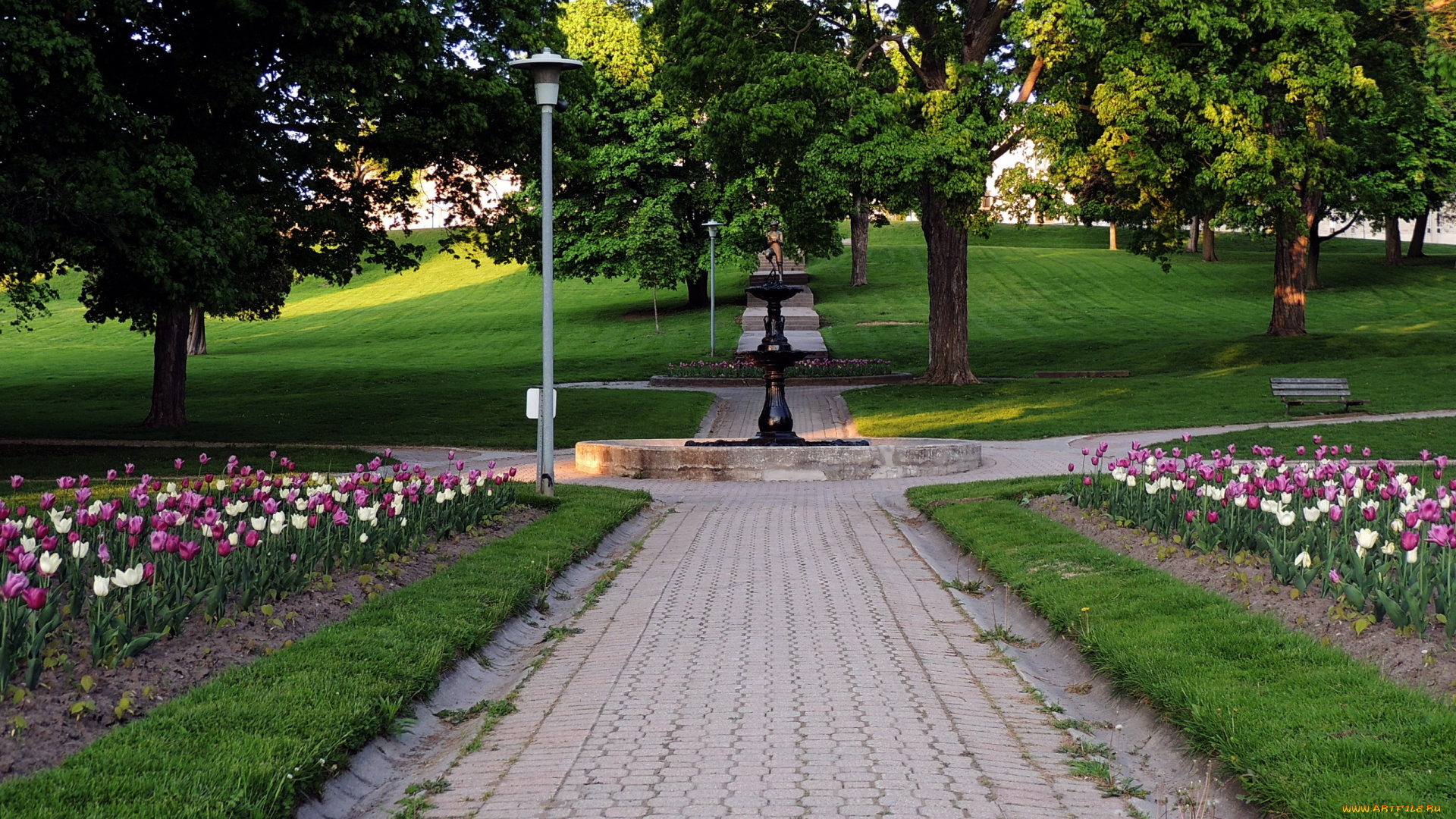 природа, парк, аллея, весна, тюльпаны, клумбы, фонтан