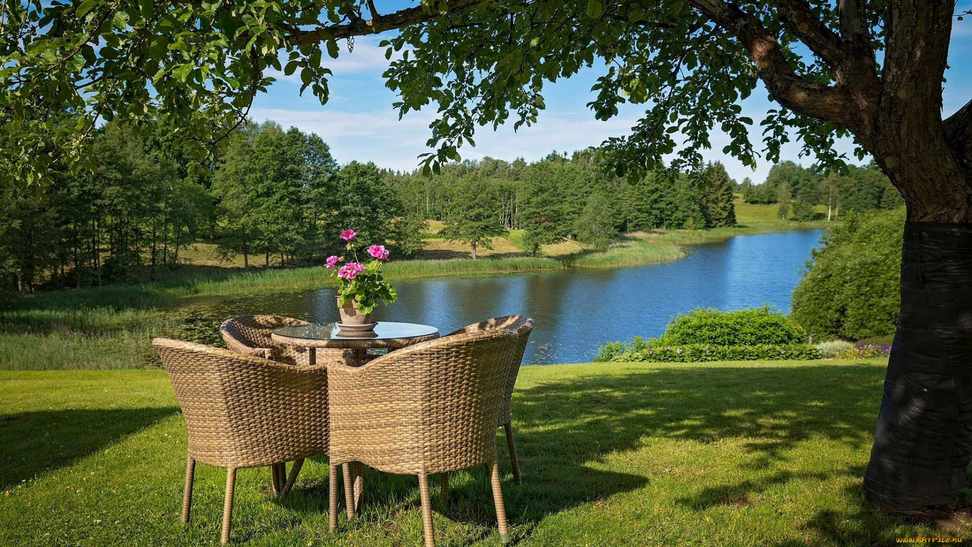 природа, парк, стулья, стол, деревья, водоем