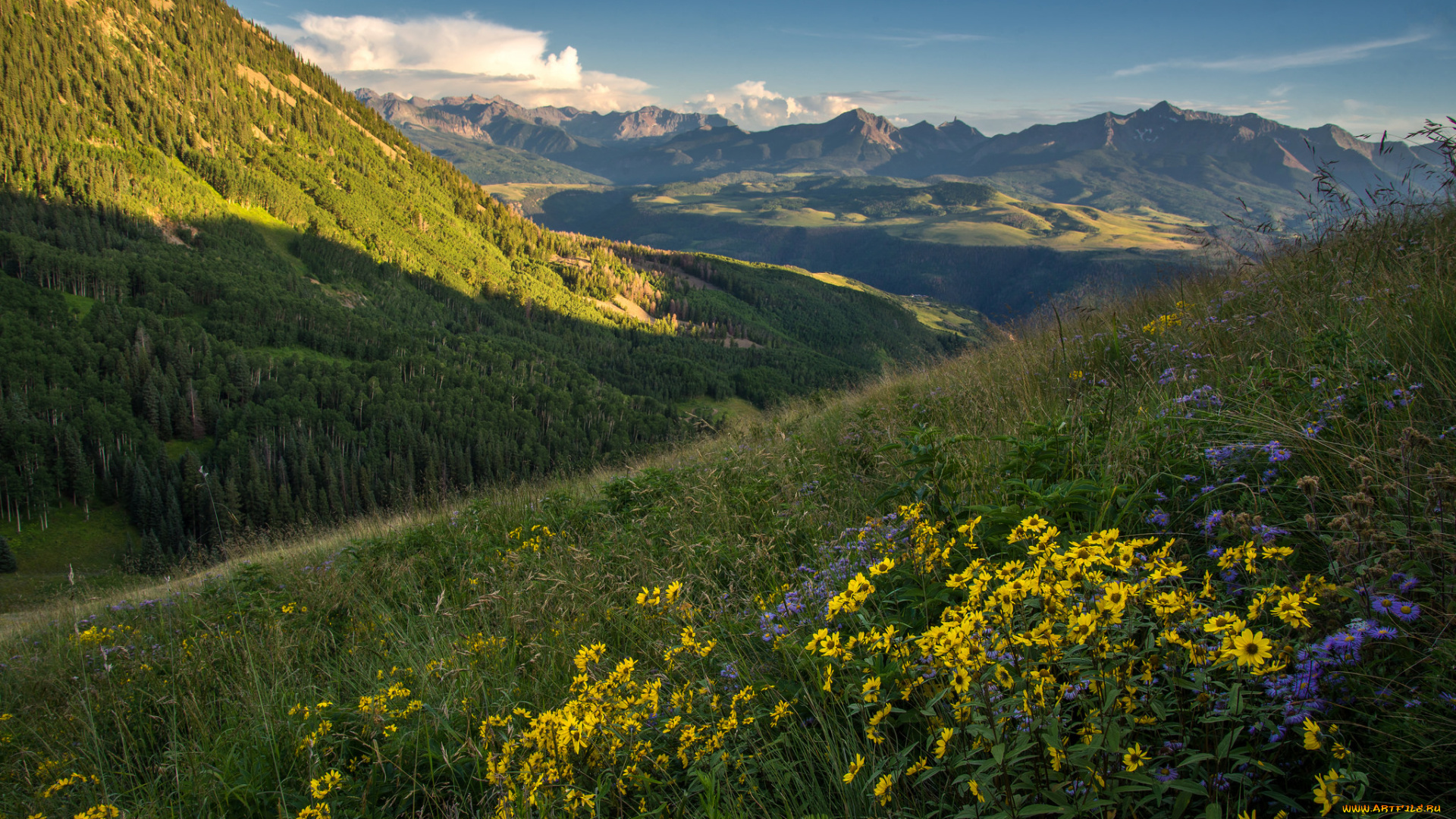 природа, пейзажи, простор