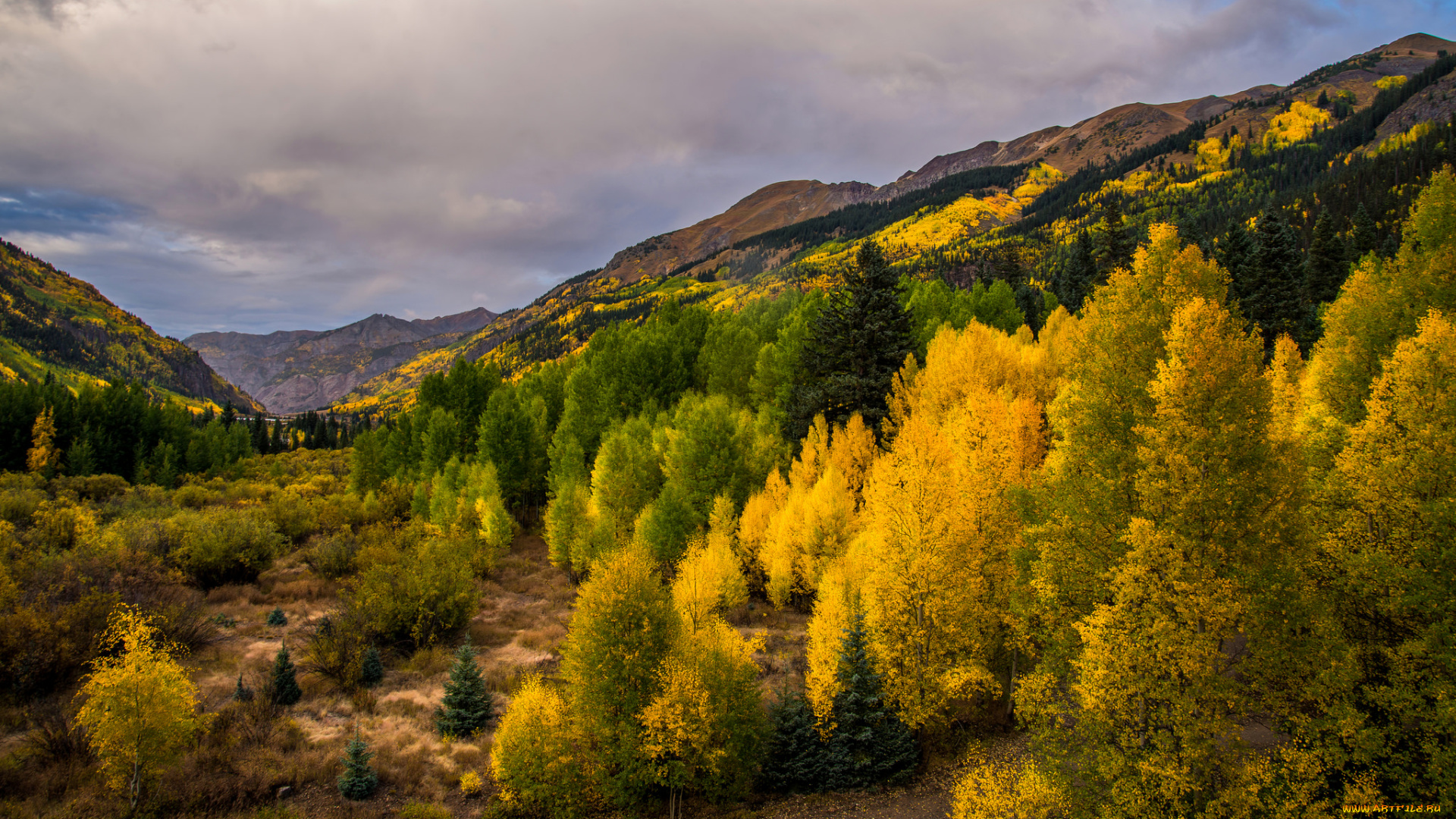природа, пейзажи, простор